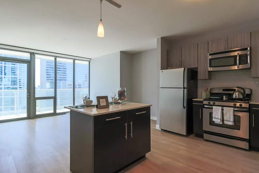 345 E Wacker Dr 60601 60601-unit#1106-Chicago-IL