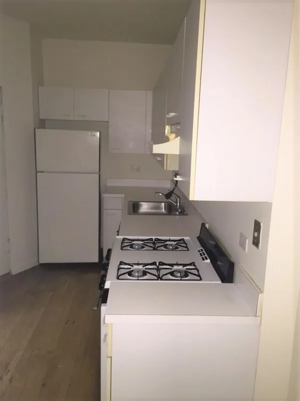 3707 N Pine Grove Ave   60613 60613-PineGrove -unit#1A-Chicago-IL