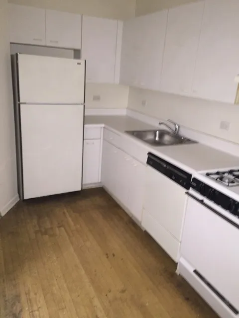 3707 N Pine Grove Ave   60613 60613-PineGrove -unit#1A-Chicago-IL