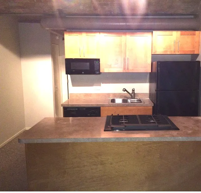 1301 W Fletcher St   60657 60657-Brewery Lofts-unit#306-Chicago-IL