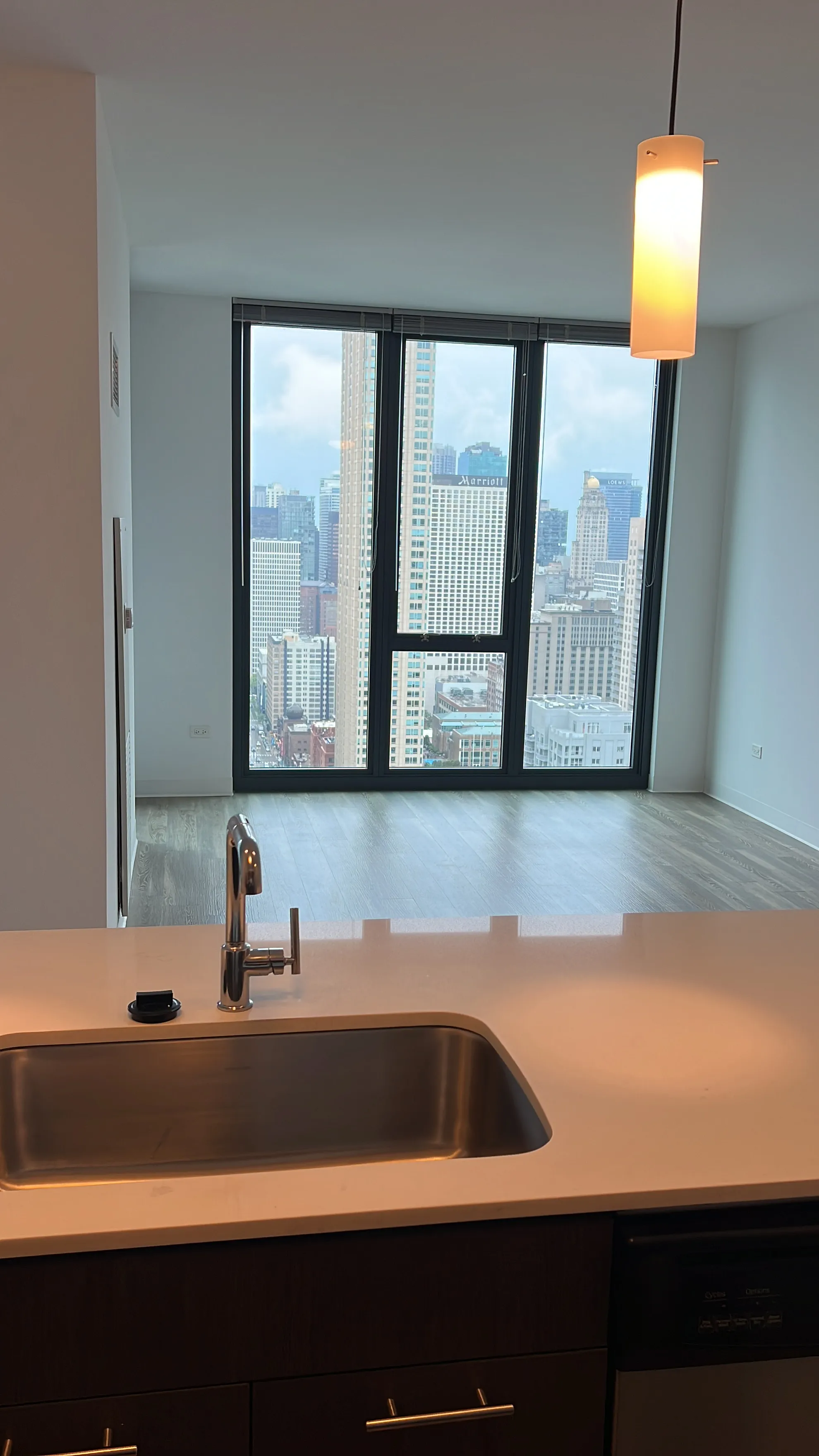 637 N Wells St   60654 60654-unit#3407-Chicago-IL