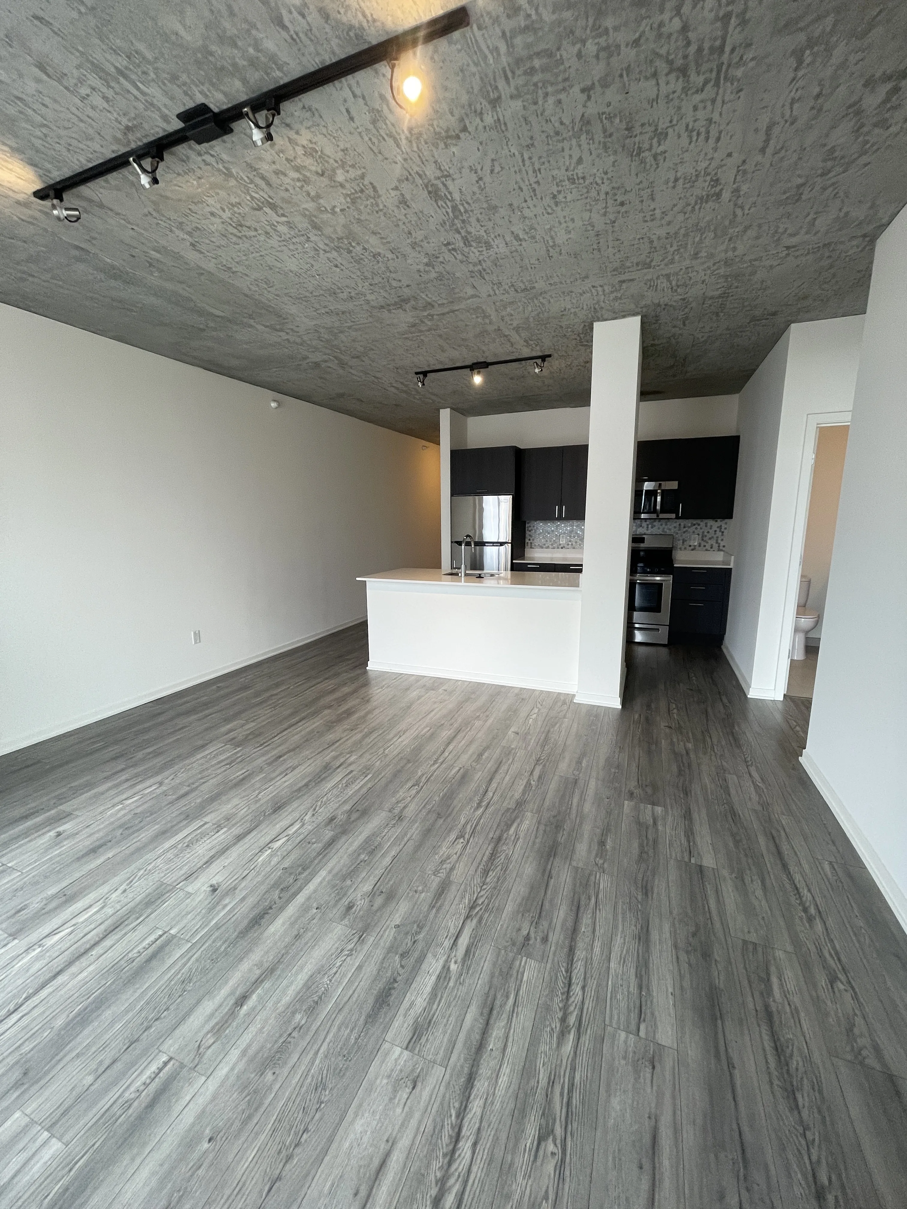 1333 S Wabash Ave   60605 60605-unit#1513-Chicago-IL