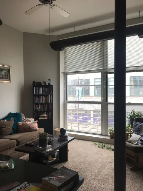 3159 N Seminary Ave   60657 60657-Seminary Lofts-unit#211-Chicago-IL