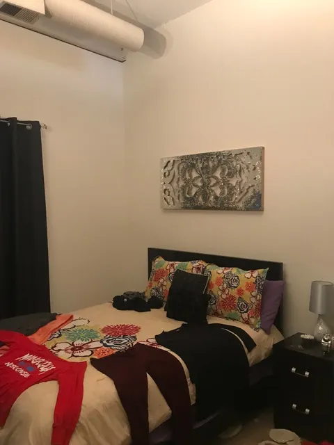 3159 N Seminary Ave   60657 60657-Seminary Lofts-unit#211-Chicago-IL