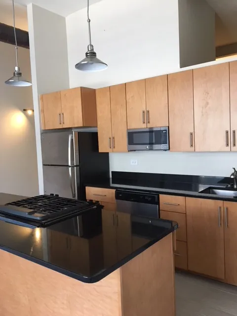 3159 N Seminary Ave   60657 60657-Seminary Lofts-unit#211-Chicago-IL