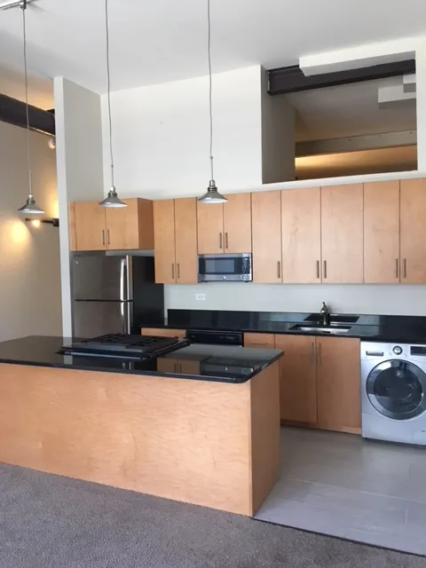 3159 N Seminary Ave   60657 60657-Seminary Lofts-unit#211-Chicago-IL