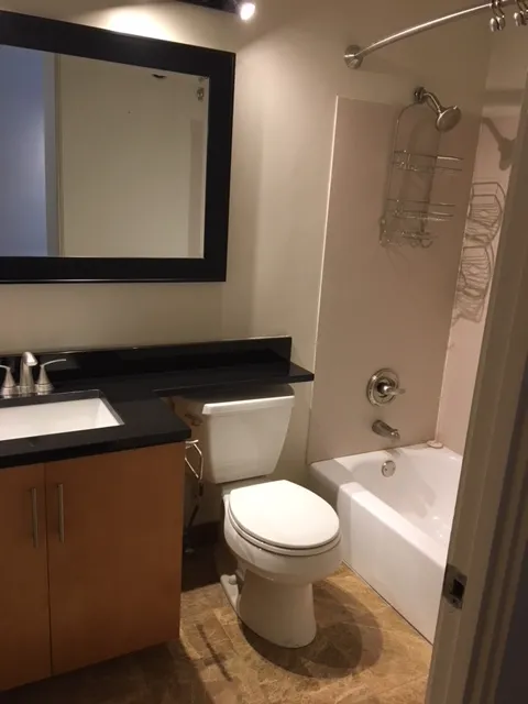 3159 N Seminary Ave   60657 60657-Seminary Lofts-unit#211-Chicago-IL