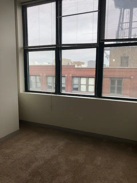 999 W Wolfram St   60657 60657-Sheffield Lofts-unit#511-Chicago-IL