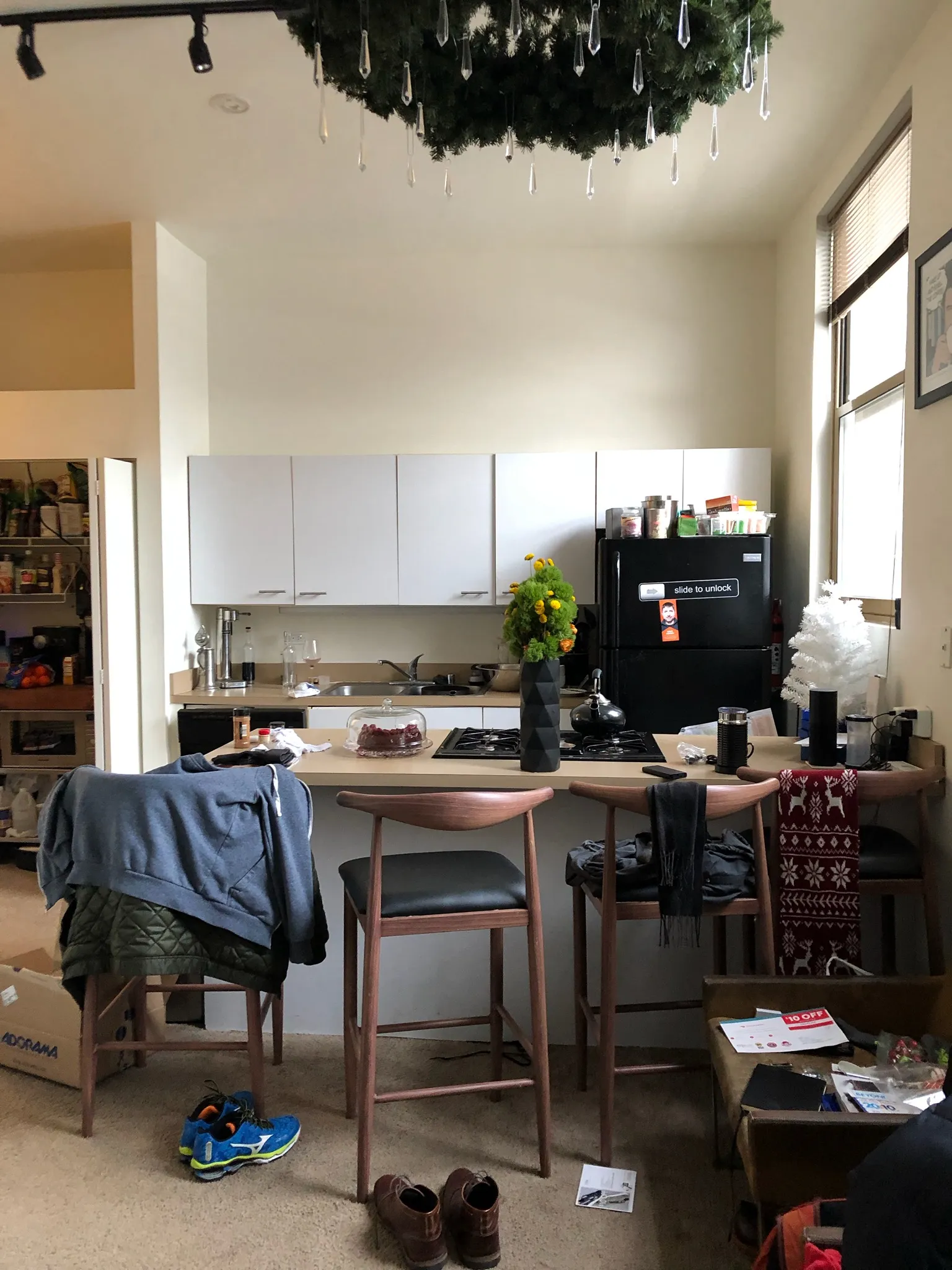 701 W Buckingham Pl 60657 60657-Buckingham Pews-unit#207-Chicago-IL