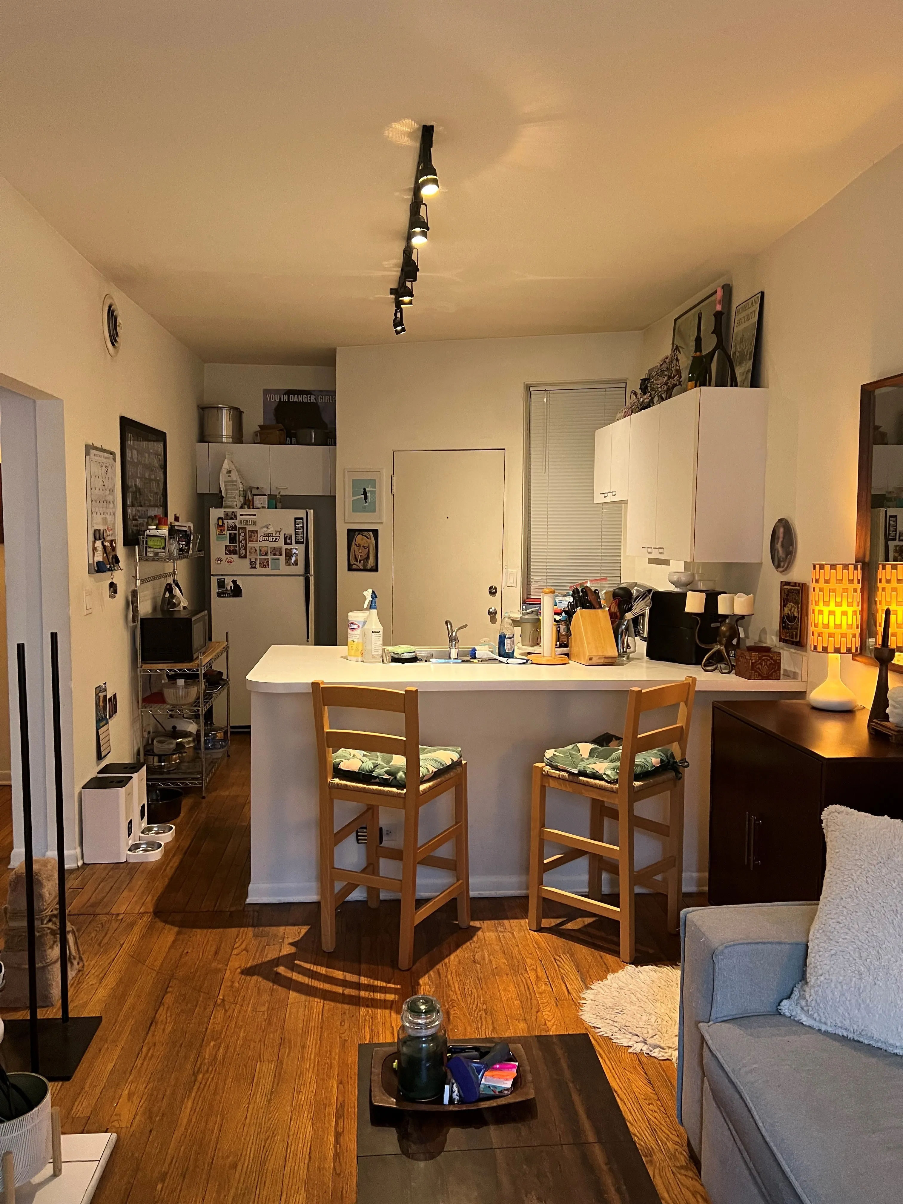 3707 N Pine Grove Ave   60613 60613-Pinegrove Pews-unit#1C-Chicago-IL