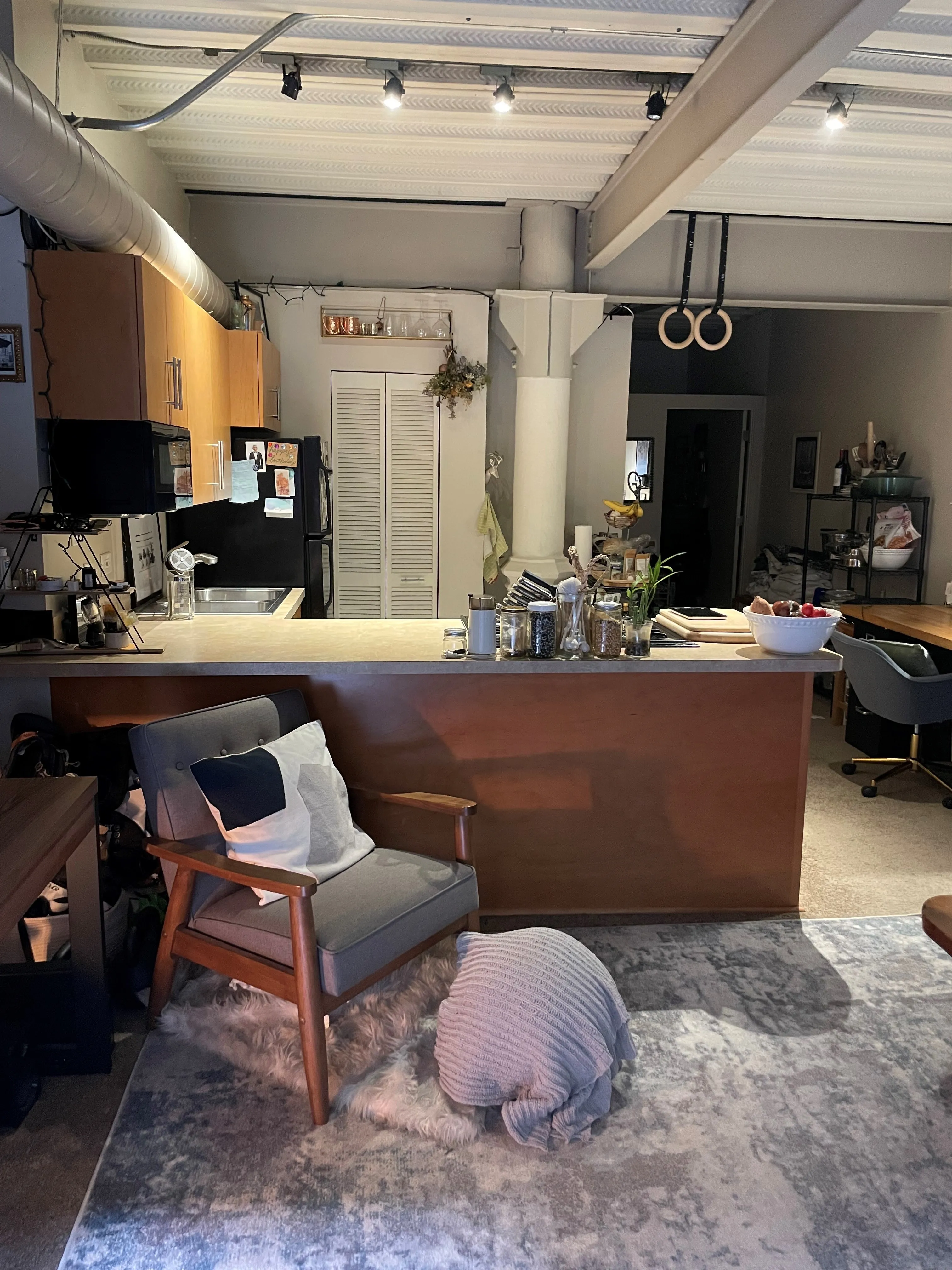 1301 W Fletcher St 60657 60657-Brewery Lofts-unit#104-Chicago-IL