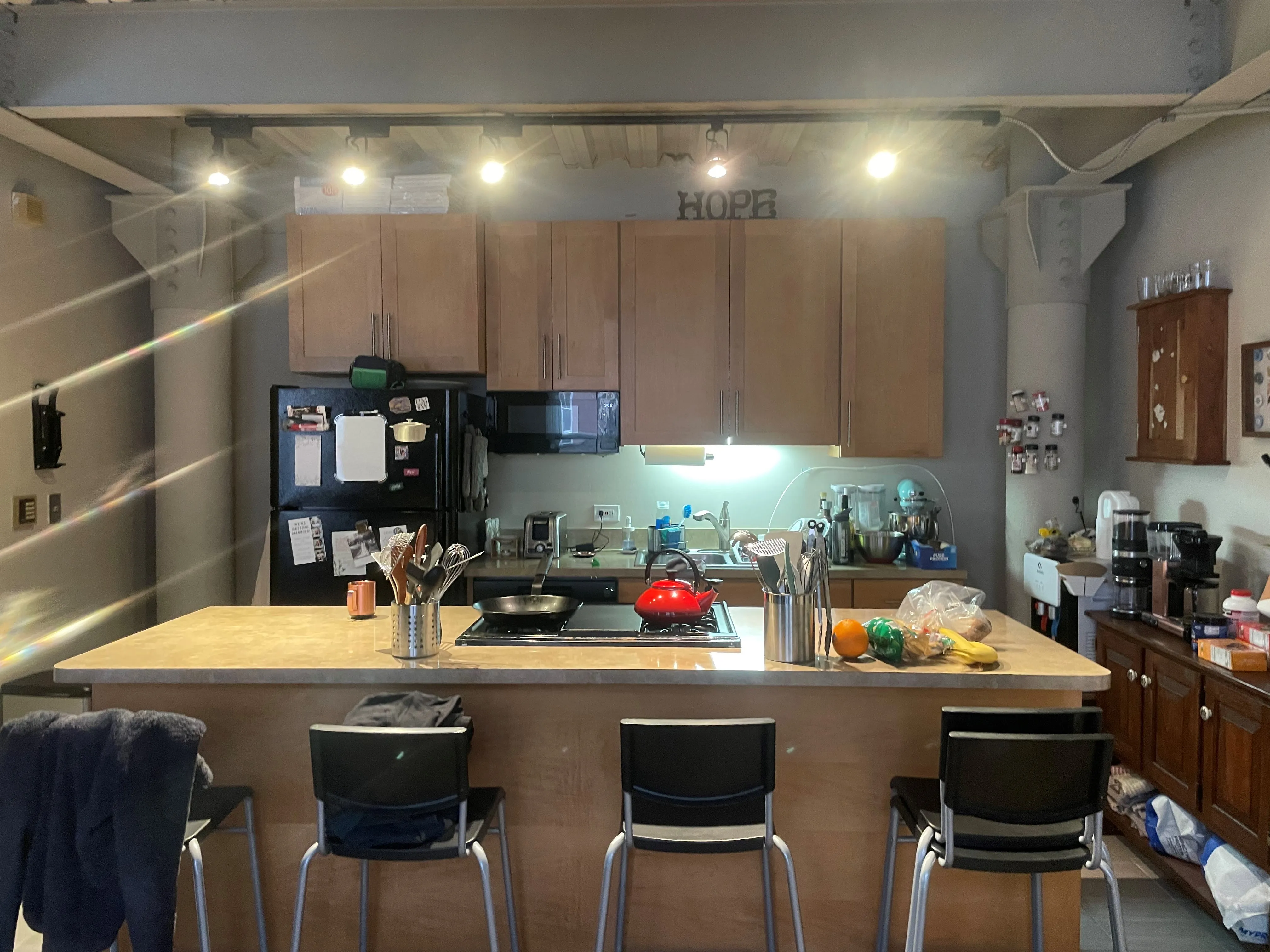 1301 W Fletcher St   60657 60657-Brewery Loft-unit#102-Chicago-IL