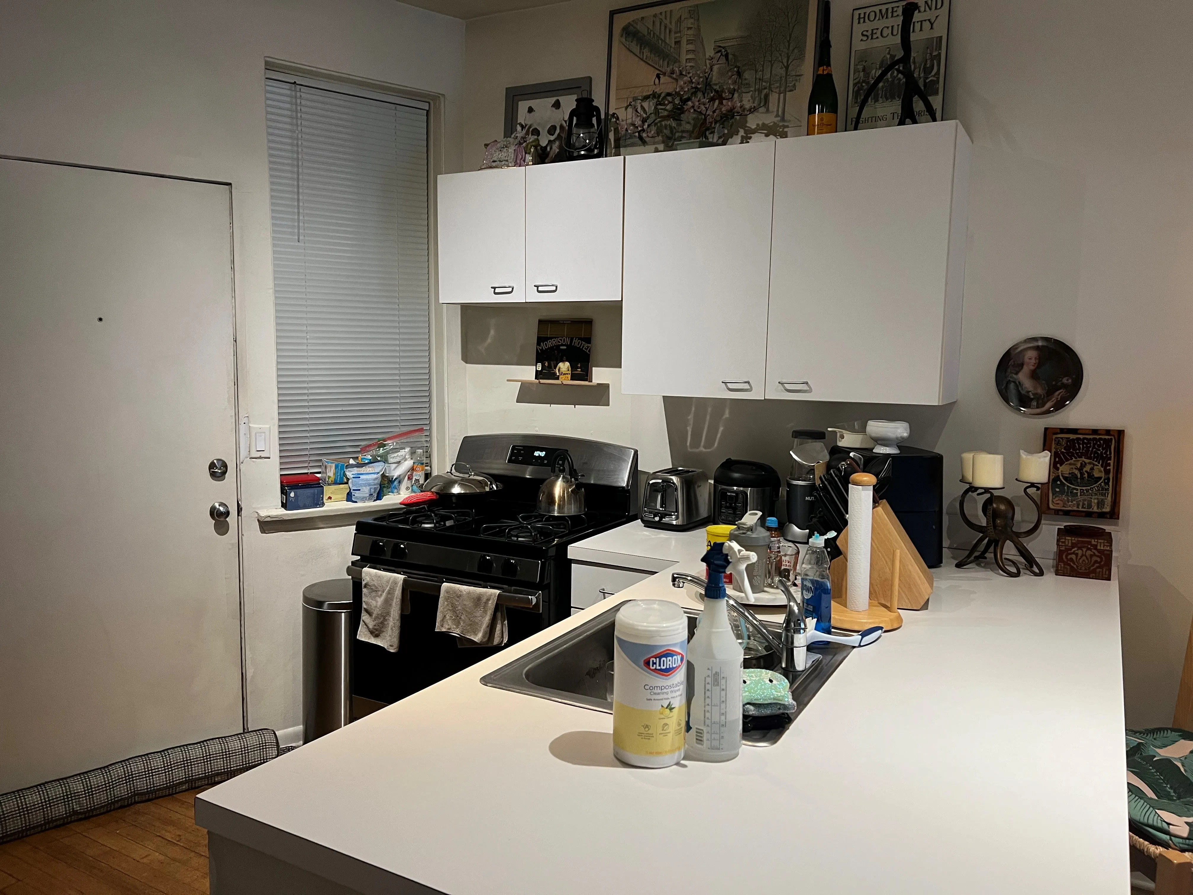 3707 N Pine Grove Ave   60613 60613-Pinegrove Pews-unit#1C-Chicago-IL