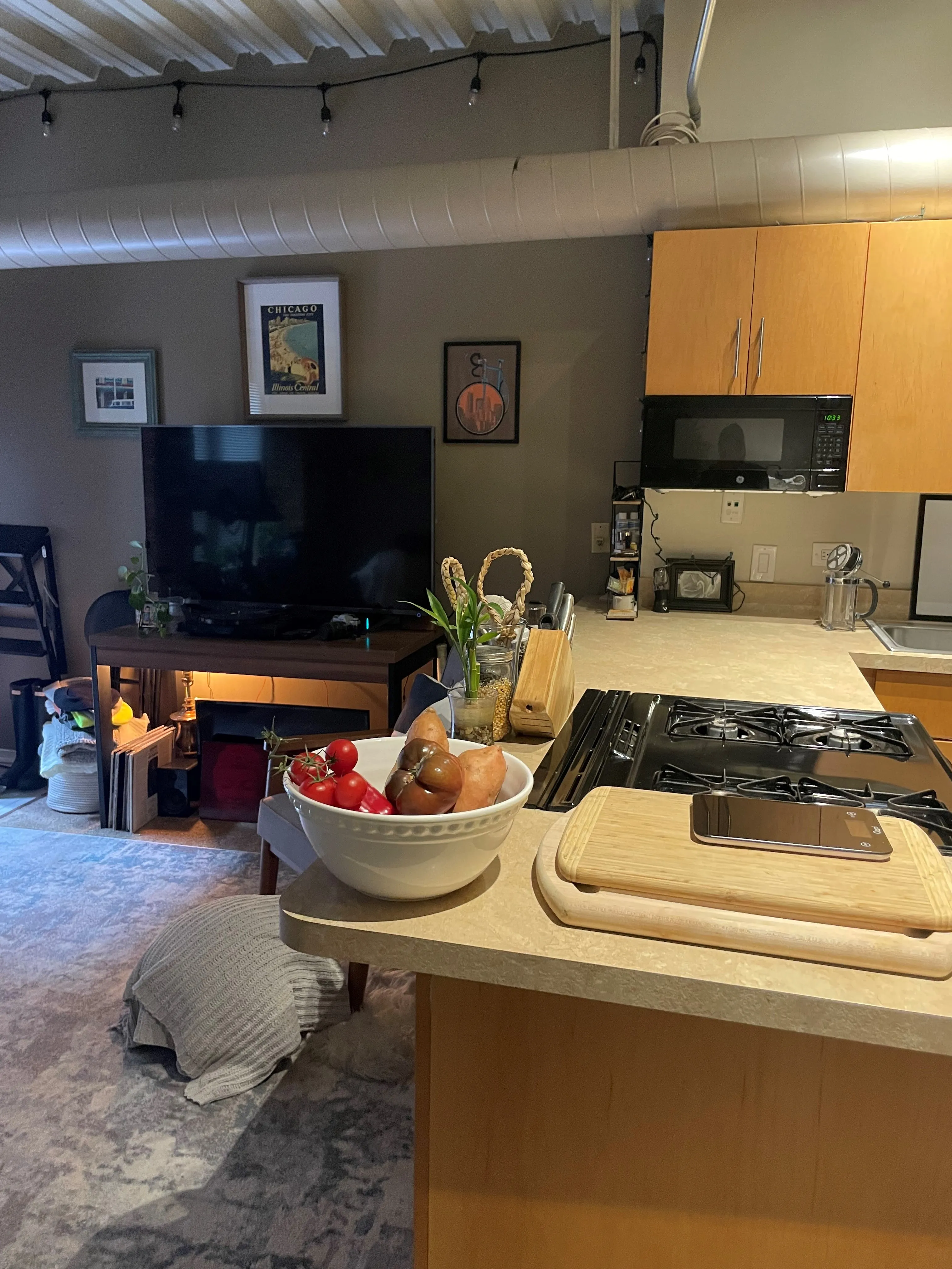 1301 W Fletcher St 60657 60657-Brewery Lofts-unit#104-Chicago-IL