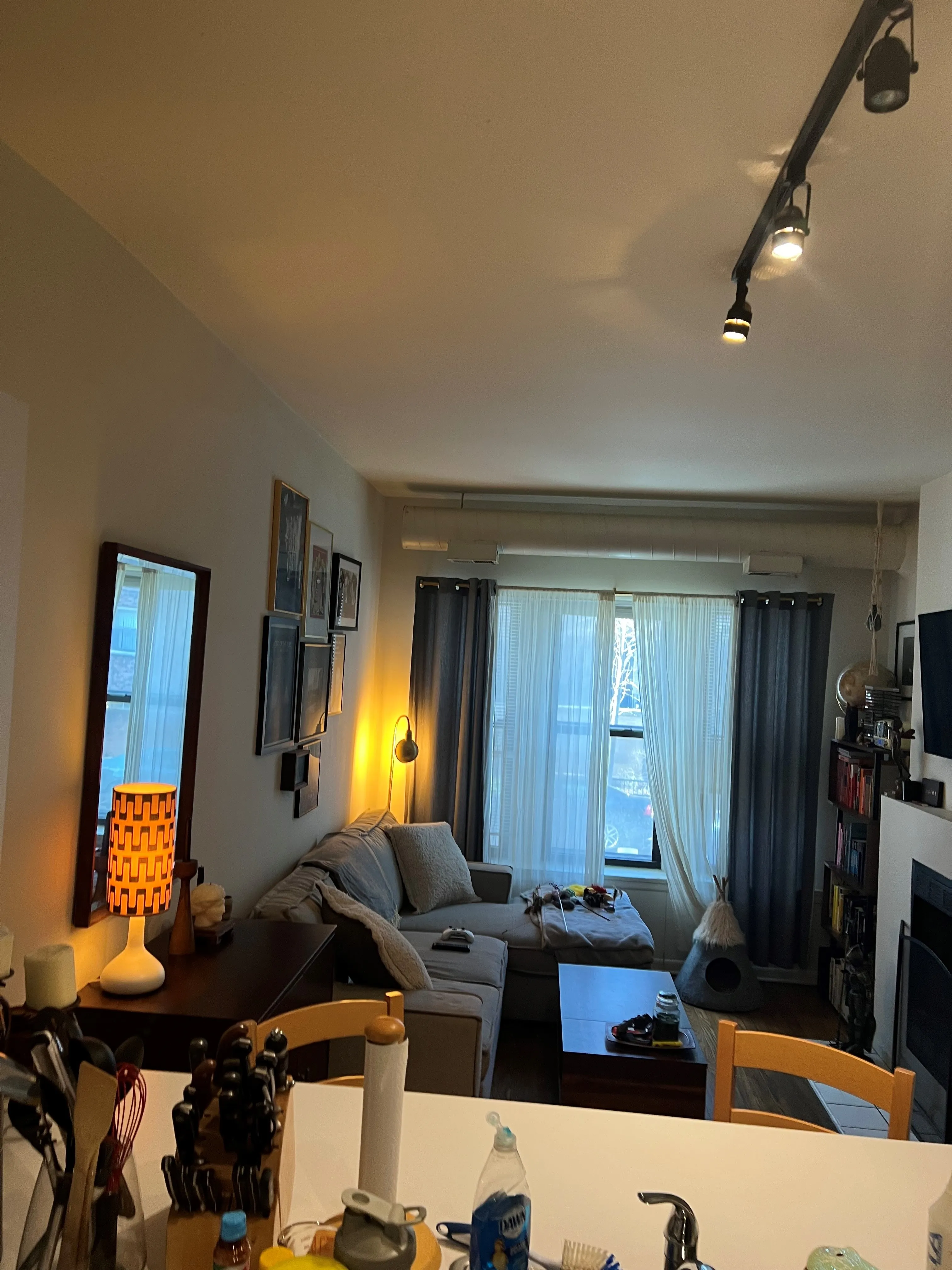 3707 N Pine Grove Ave   60613 60613-Pinegrove Pews-unit#1C-Chicago-IL