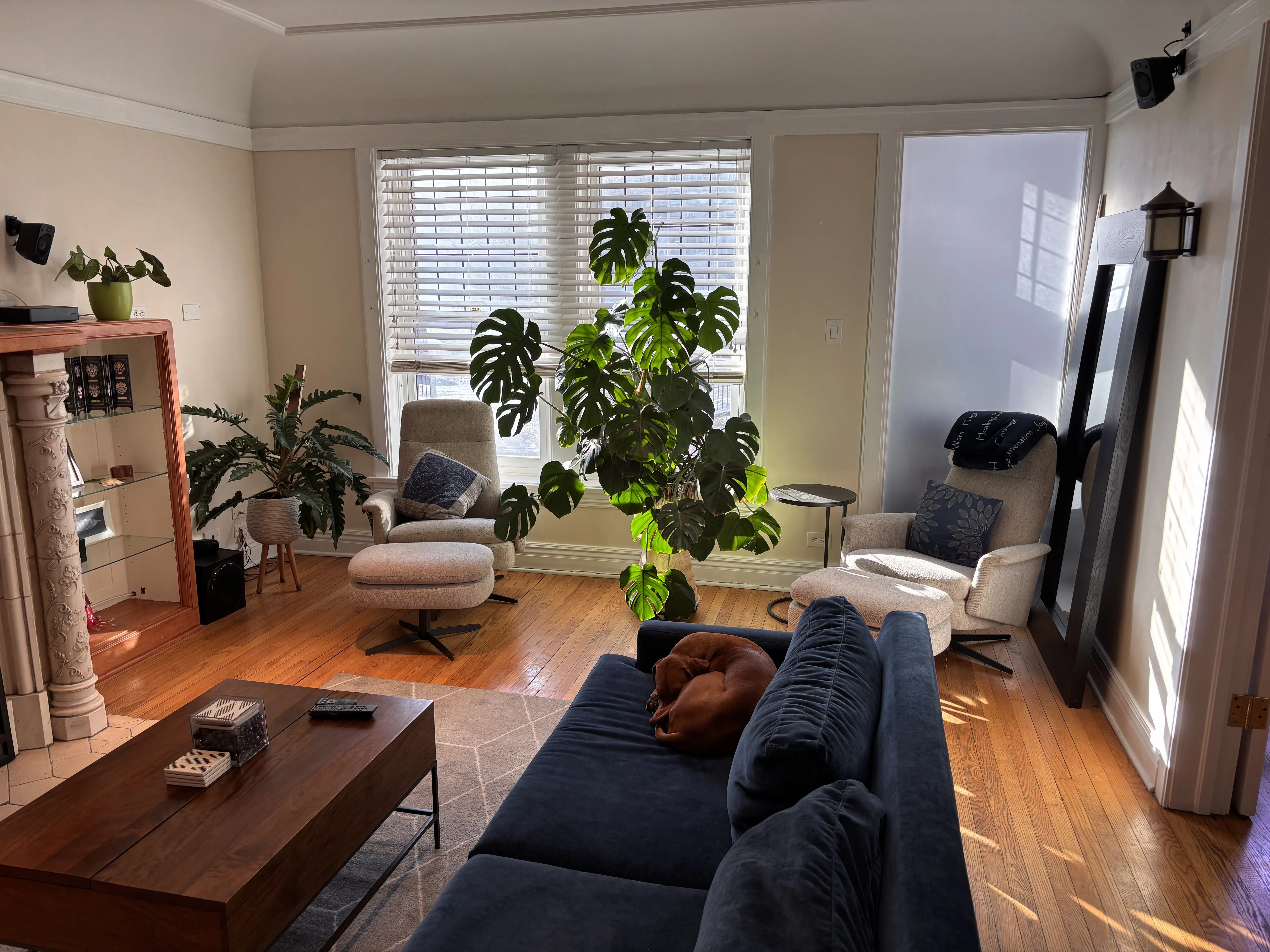 642 W Bittersweet Pl 60613 60613-unit#1W-Chicago-IL