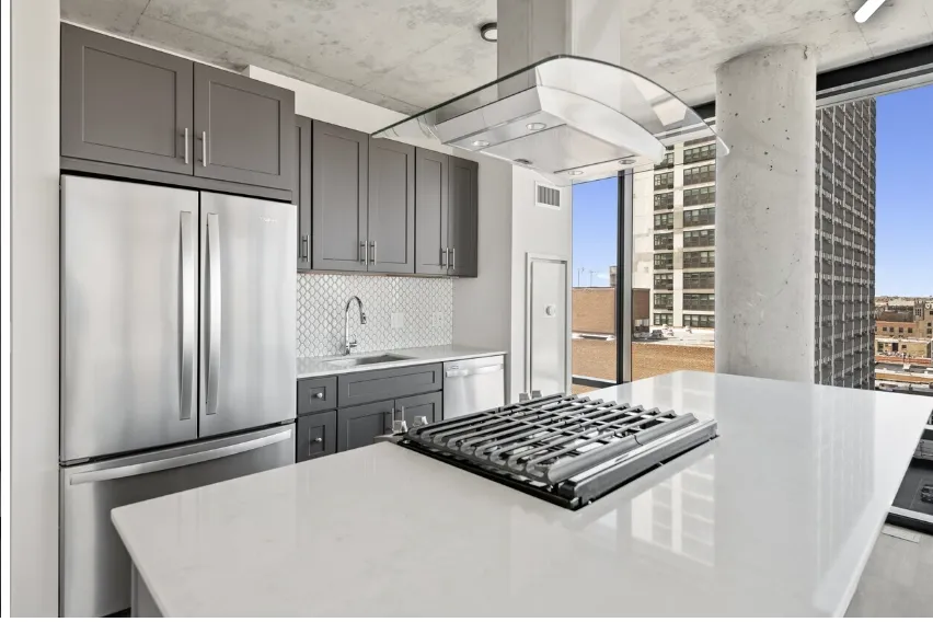 450 W Belmont Ave 60657 60657-Live450-Chicago-IL