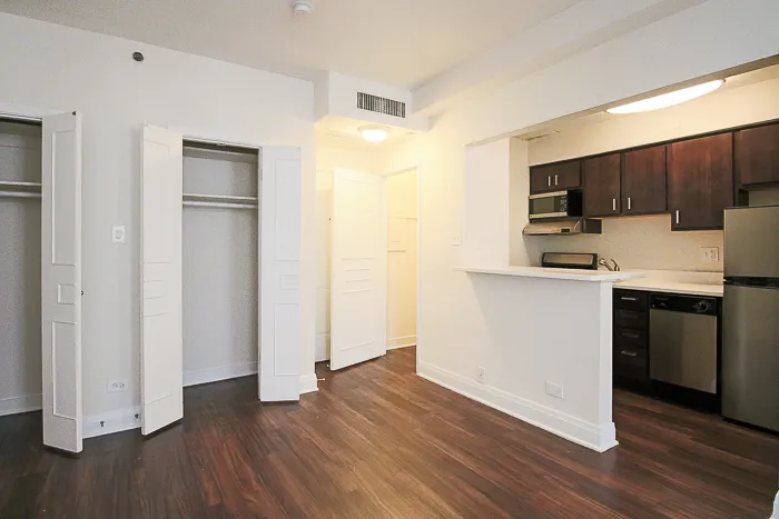 200 E Chestnut St 60611 60611-unit#1216-Chicago-IL