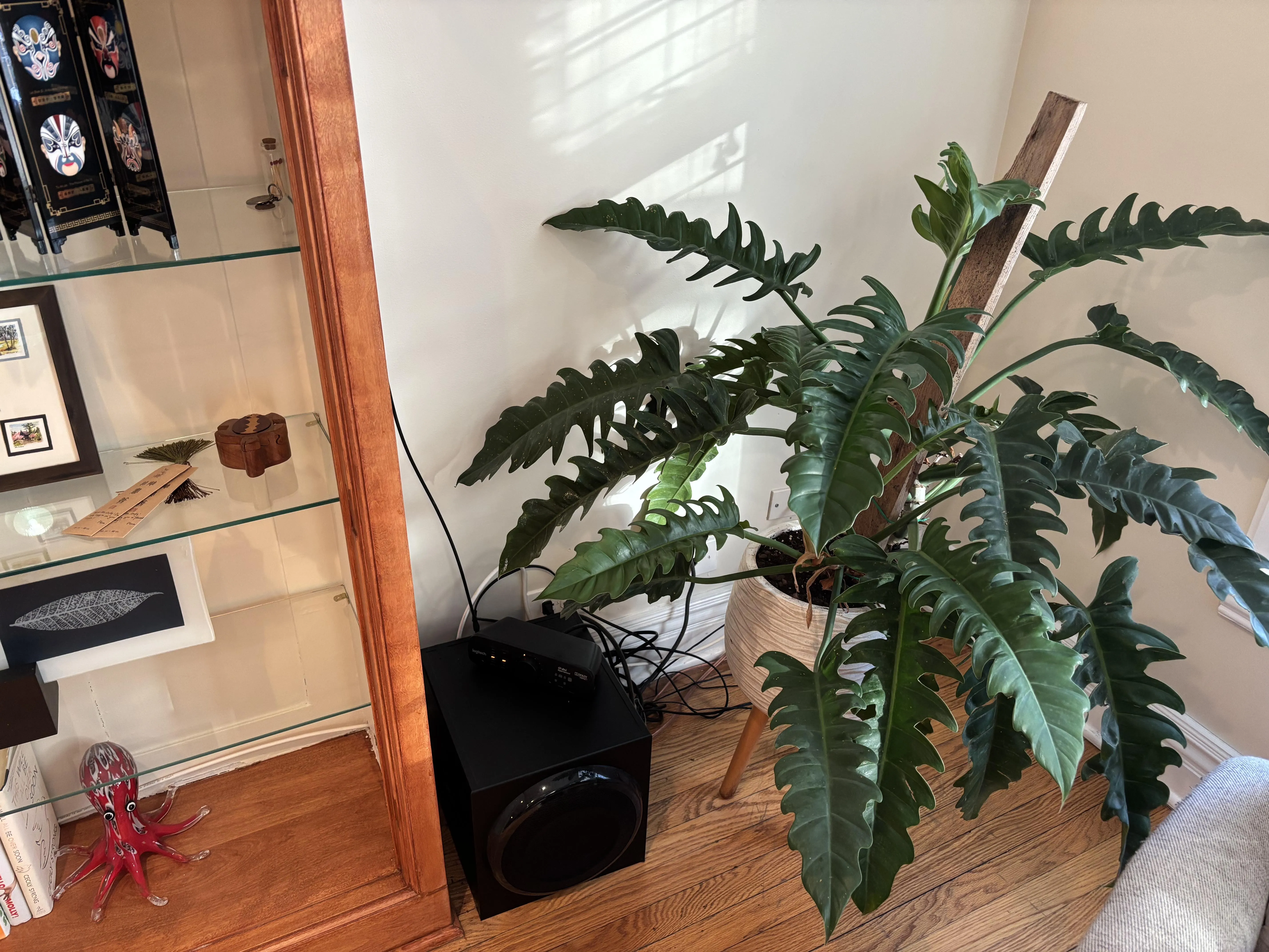 642 W Bittersweet Pl   60613 60613-unit#1W-Chicago-IL