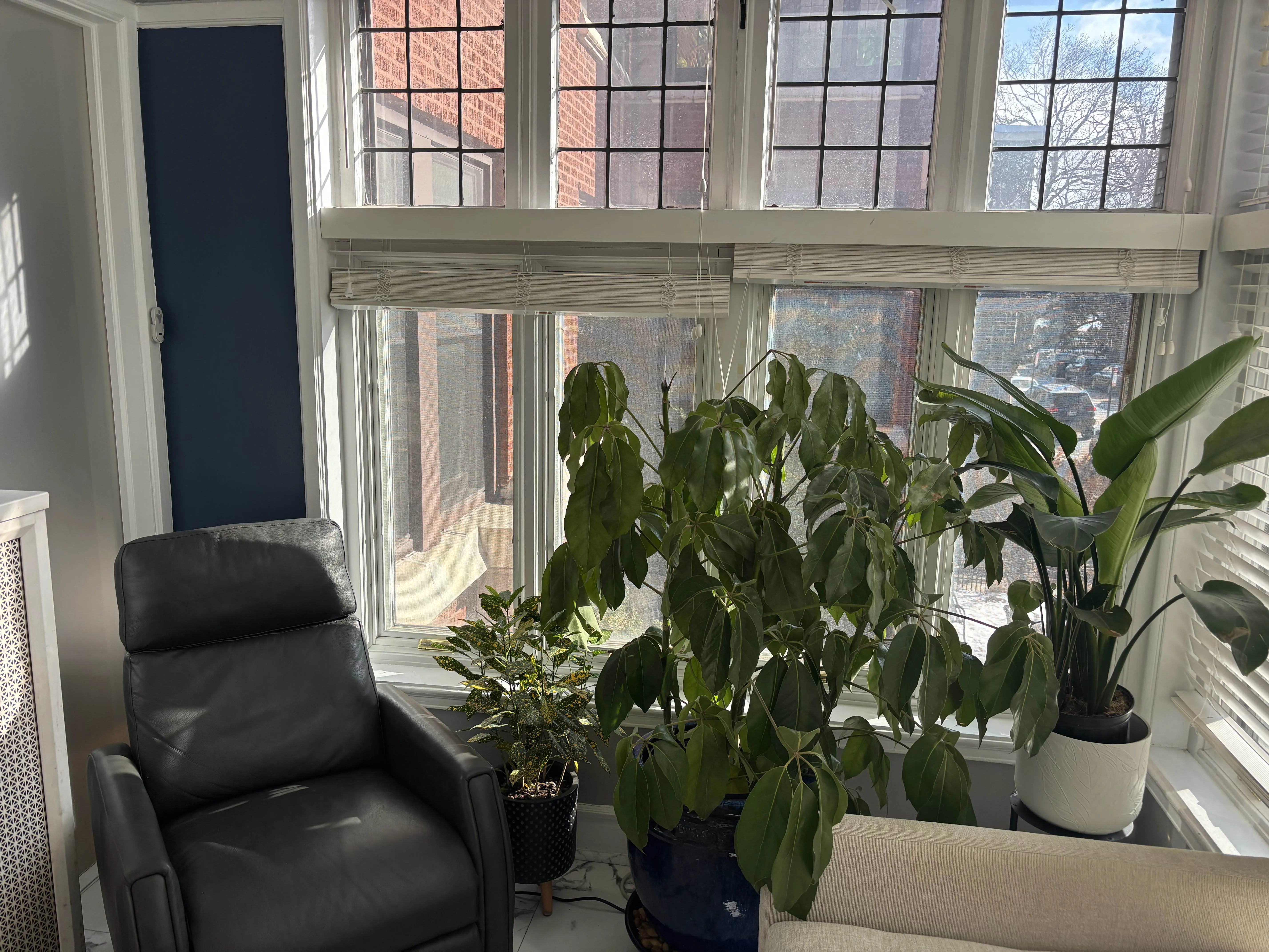 642 W Bittersweet Pl   60613 60613-unit#1W-Chicago-IL