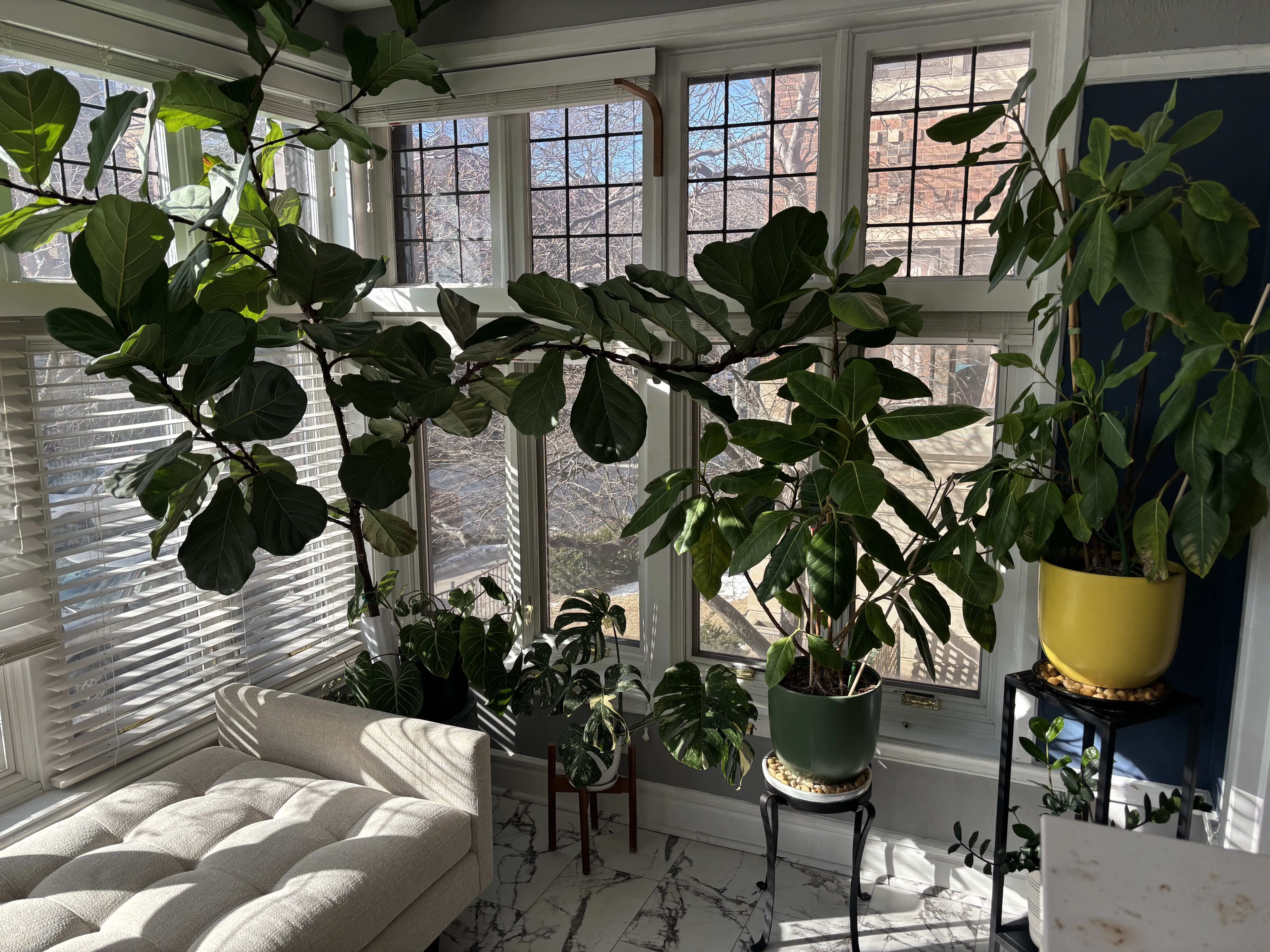 642 W Bittersweet Pl   60613 60613-unit#1W-Chicago-IL