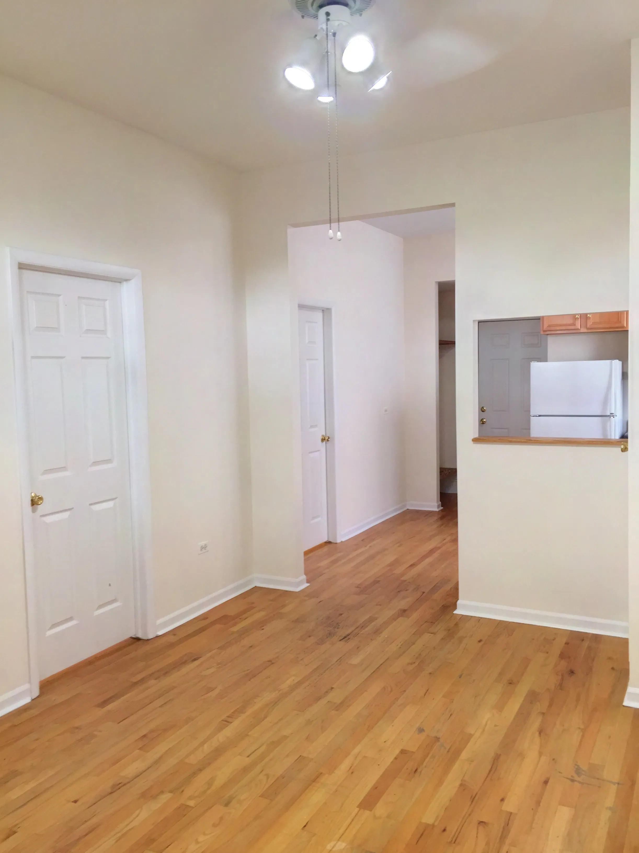 2611 W Rice St   60622 60622-unit#2R-Chicago-IL