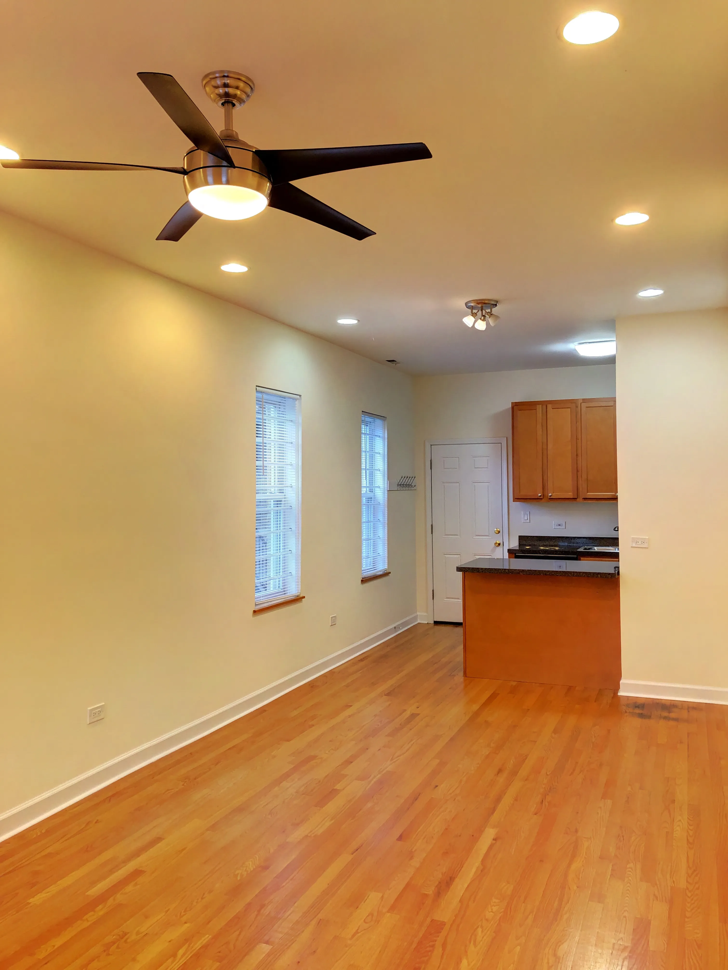 857 N Winchester Ave   60622 60622-unit#1RR-Chicago-IL