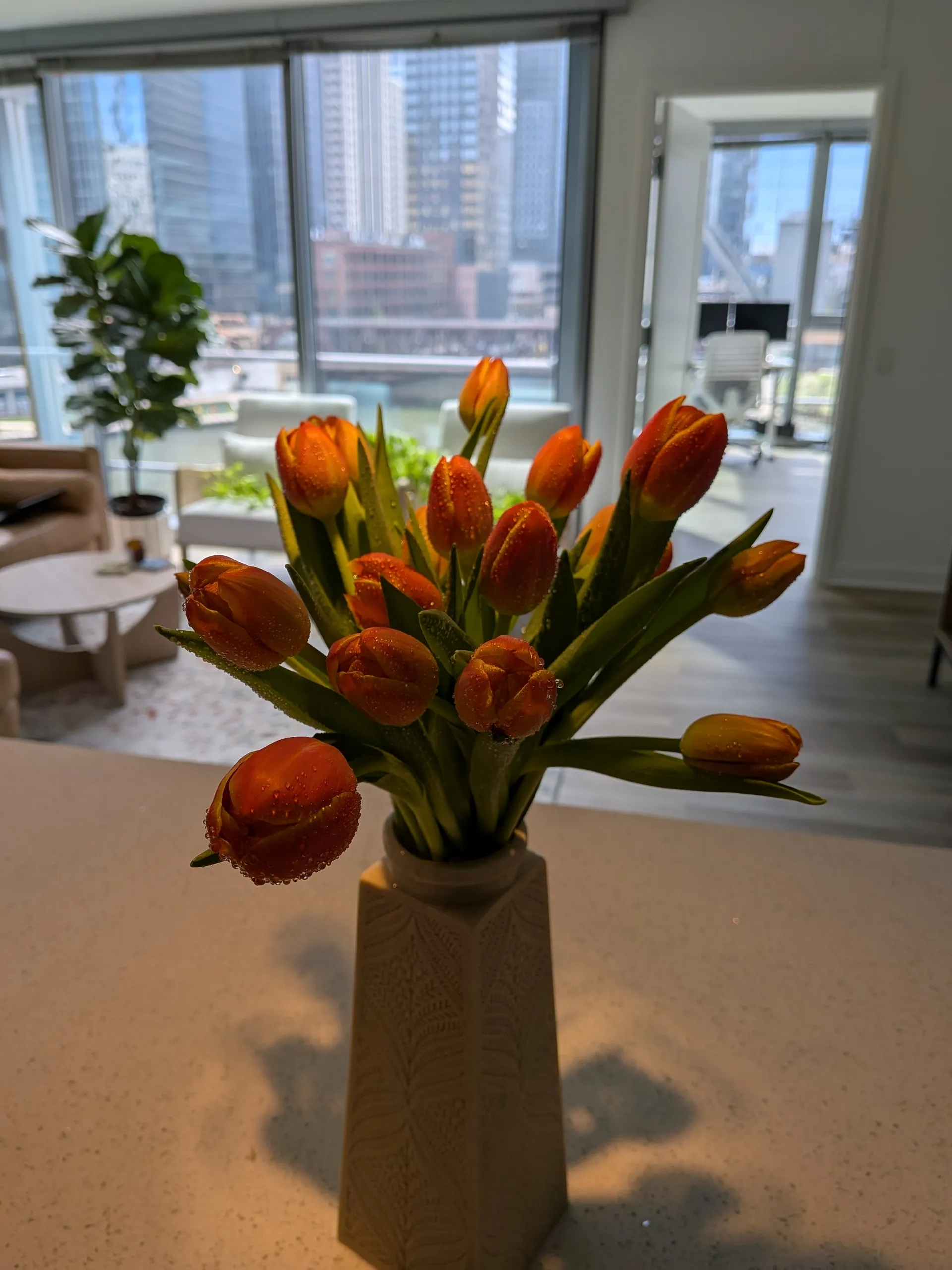  W Wolf Point Plaza   60654 60654-unit#504-Chicago-IL