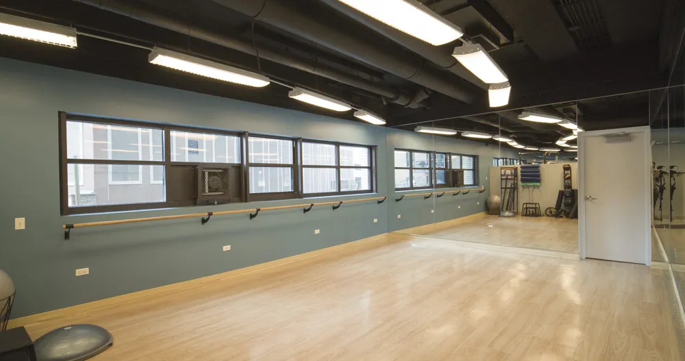 1130 N Dearborn St 60610 60610-unit#3004-Chicago-IL