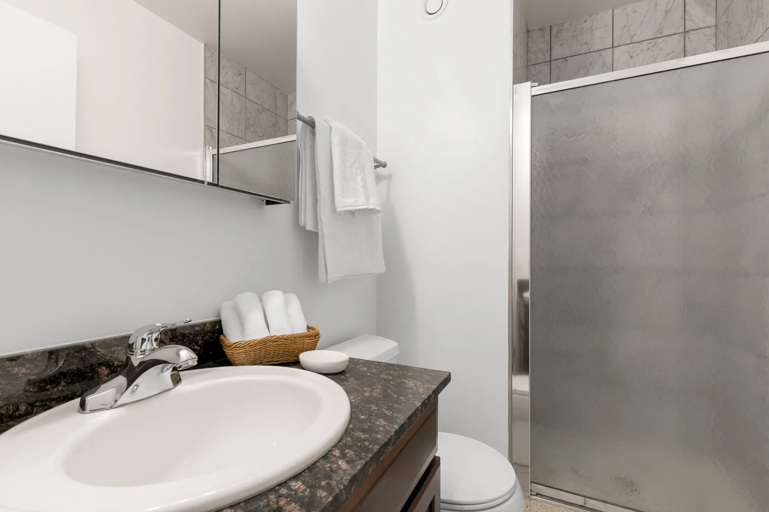1133 N Dearborn St 60610 60610- 1133 N. Dearborn-unit#ID207-Chicago-IL