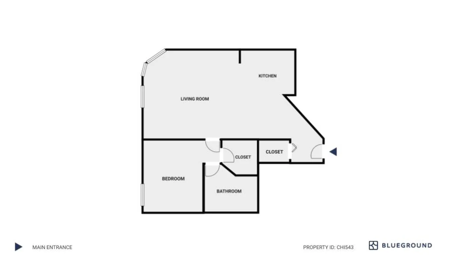 8 W Chestnut St   60610 60610-Chestnut Place-unit#ID543-Chicago-IL