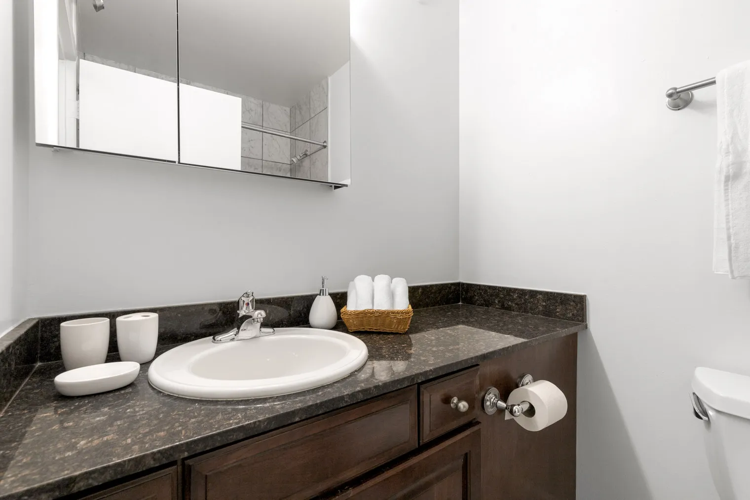 1133 N Dearborn St 60610 60610- 1133 N. Dearborn-unit#ID207-Chicago-IL