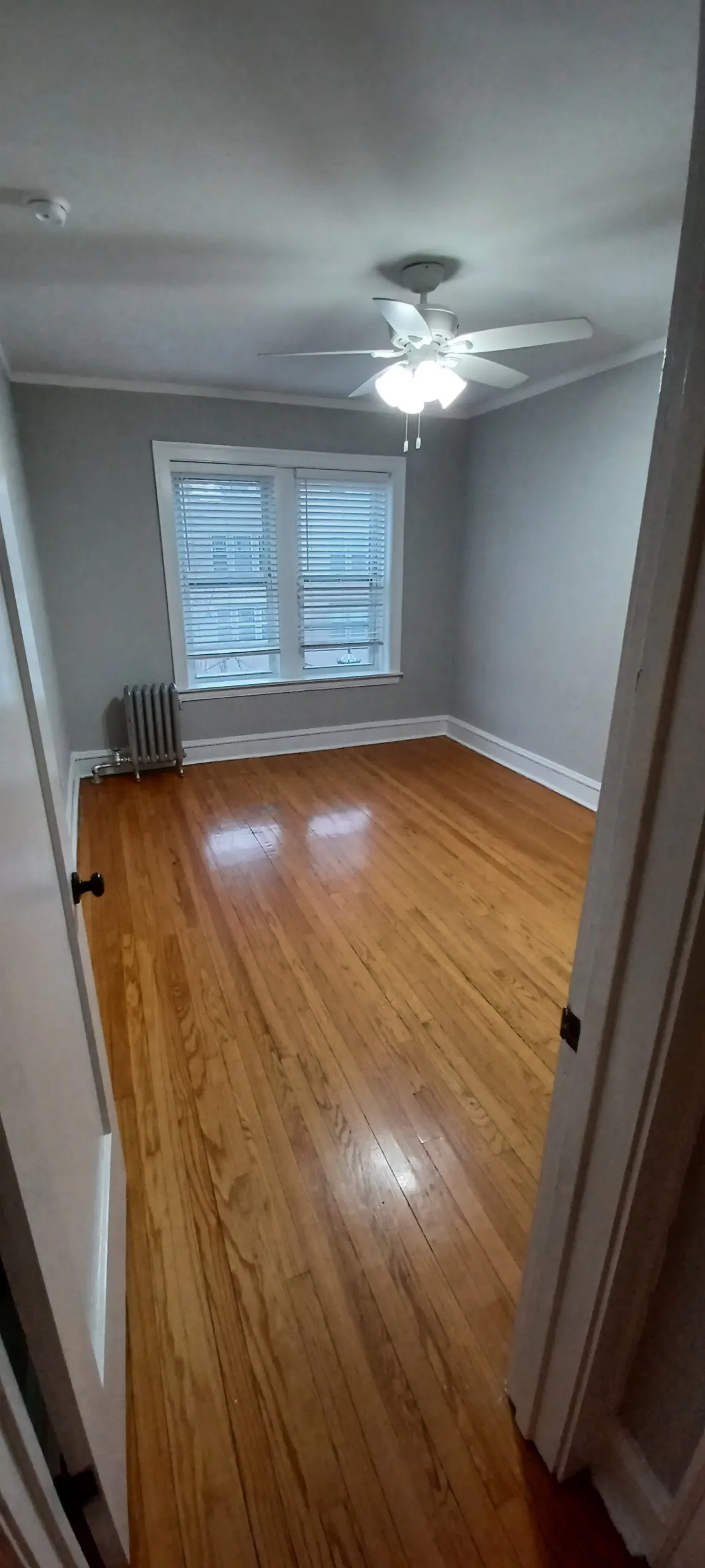 121 Elmwood Ave 60202 60202-unit#2-Evanston-IL