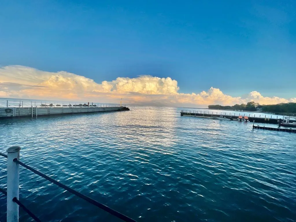 807 Davis St   60201 60201-Sherman Plaza-unit#1304-Evanston-IL