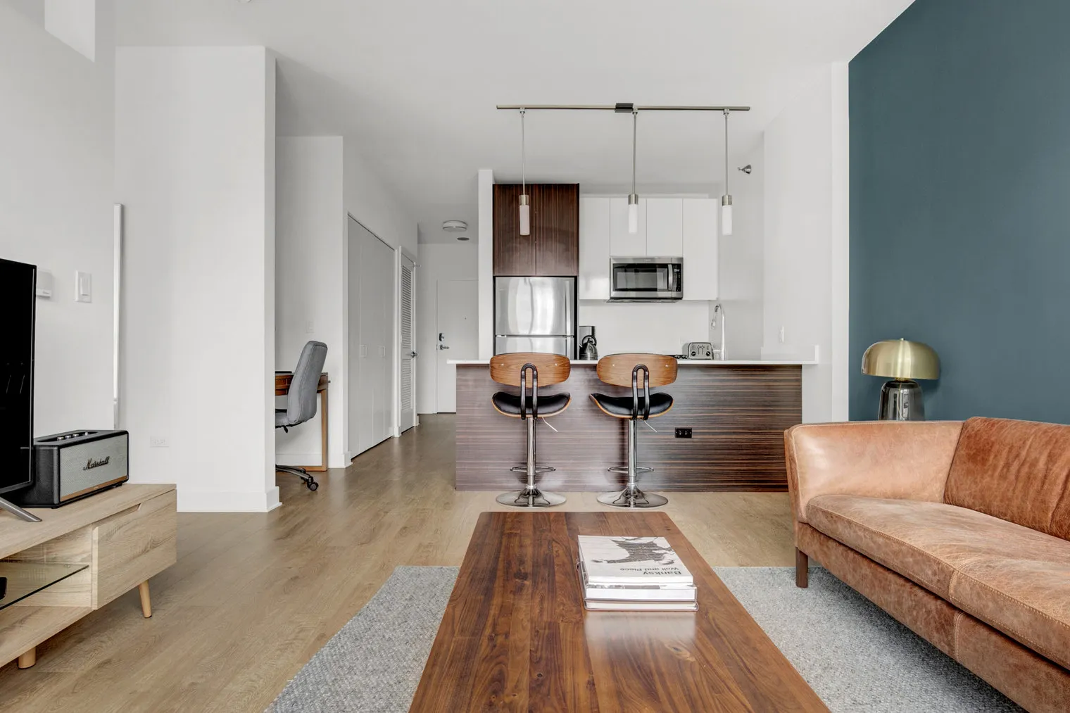 201 N Garland Ct   60601 60601- Mila-unit#ID226-Chicago-IL