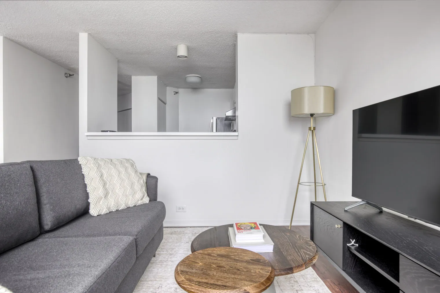 445 E Ohio St   60611 60611-Lake Shore Plaza-unit#ID450-Chicago-IL