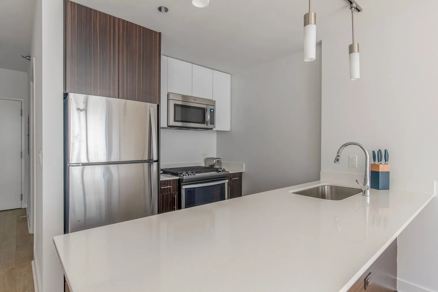 201 N Garland Ct   60601 60601-Mila-unit#ID1013-Chicago-IL