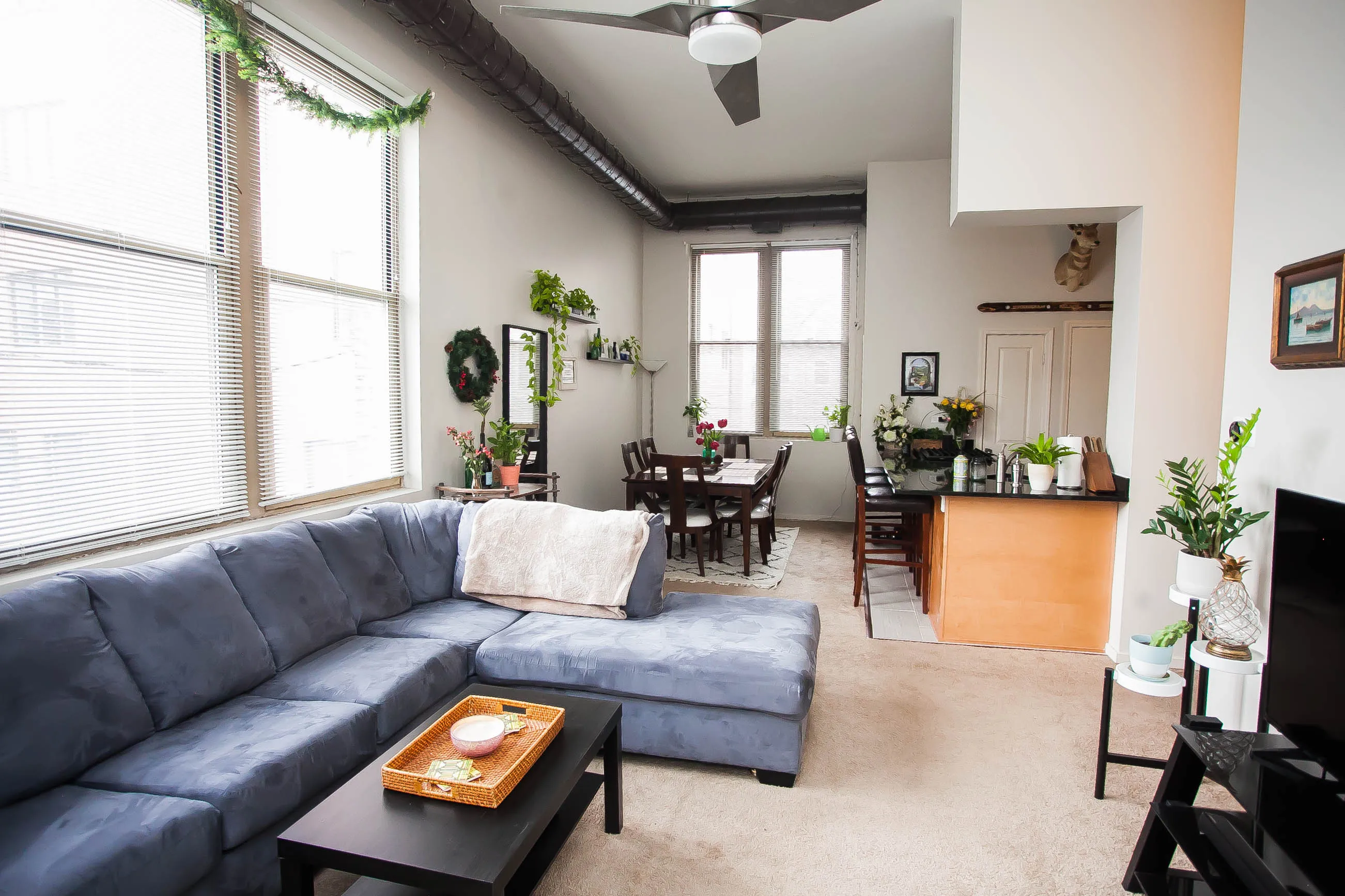 701 W Buckingham Pl   60657 60657-Buckingham Pews-unit#206-Chicago-IL