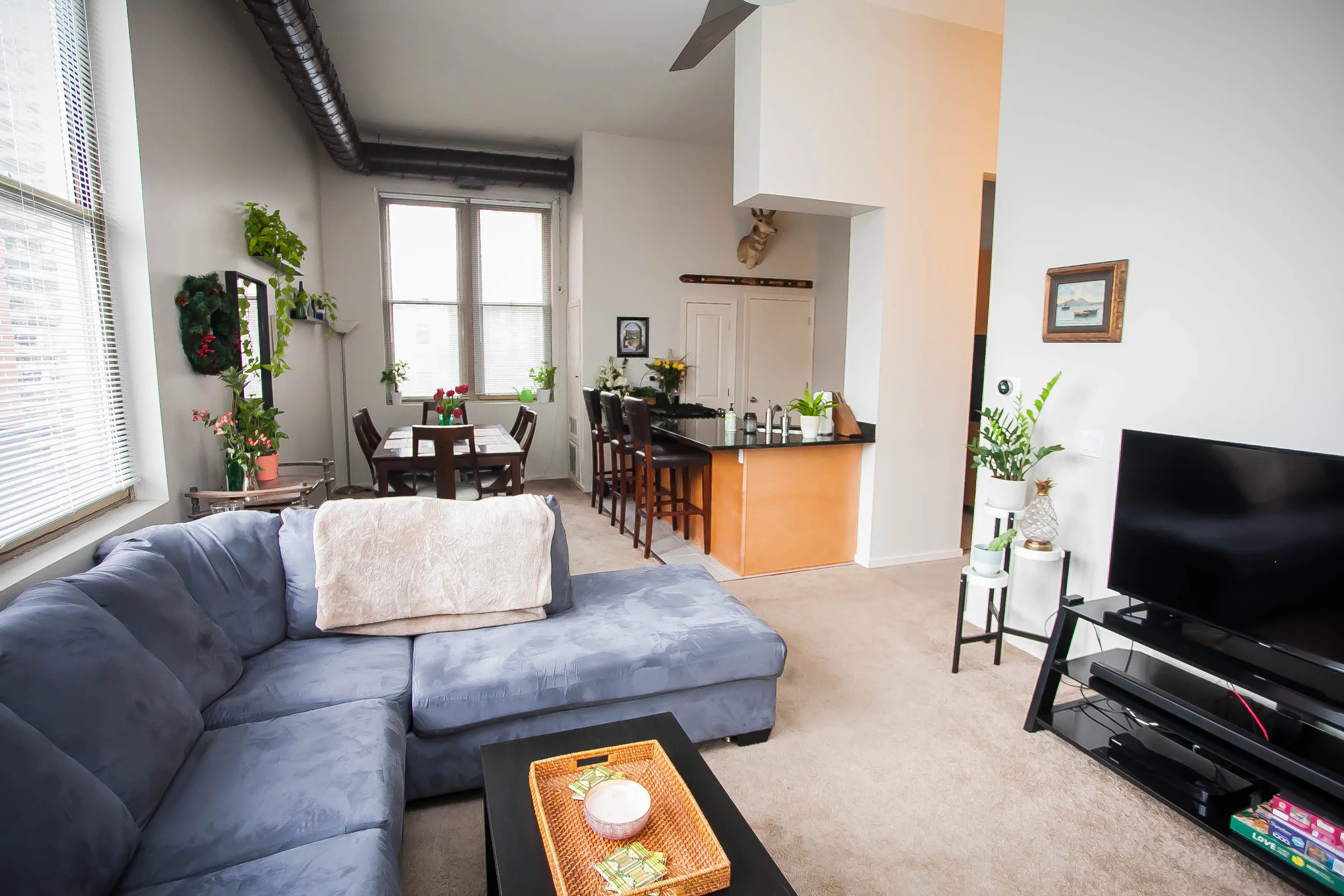 701 W Buckingham Pl   60657 60657-Buckingham Pews-unit#206-Chicago-IL