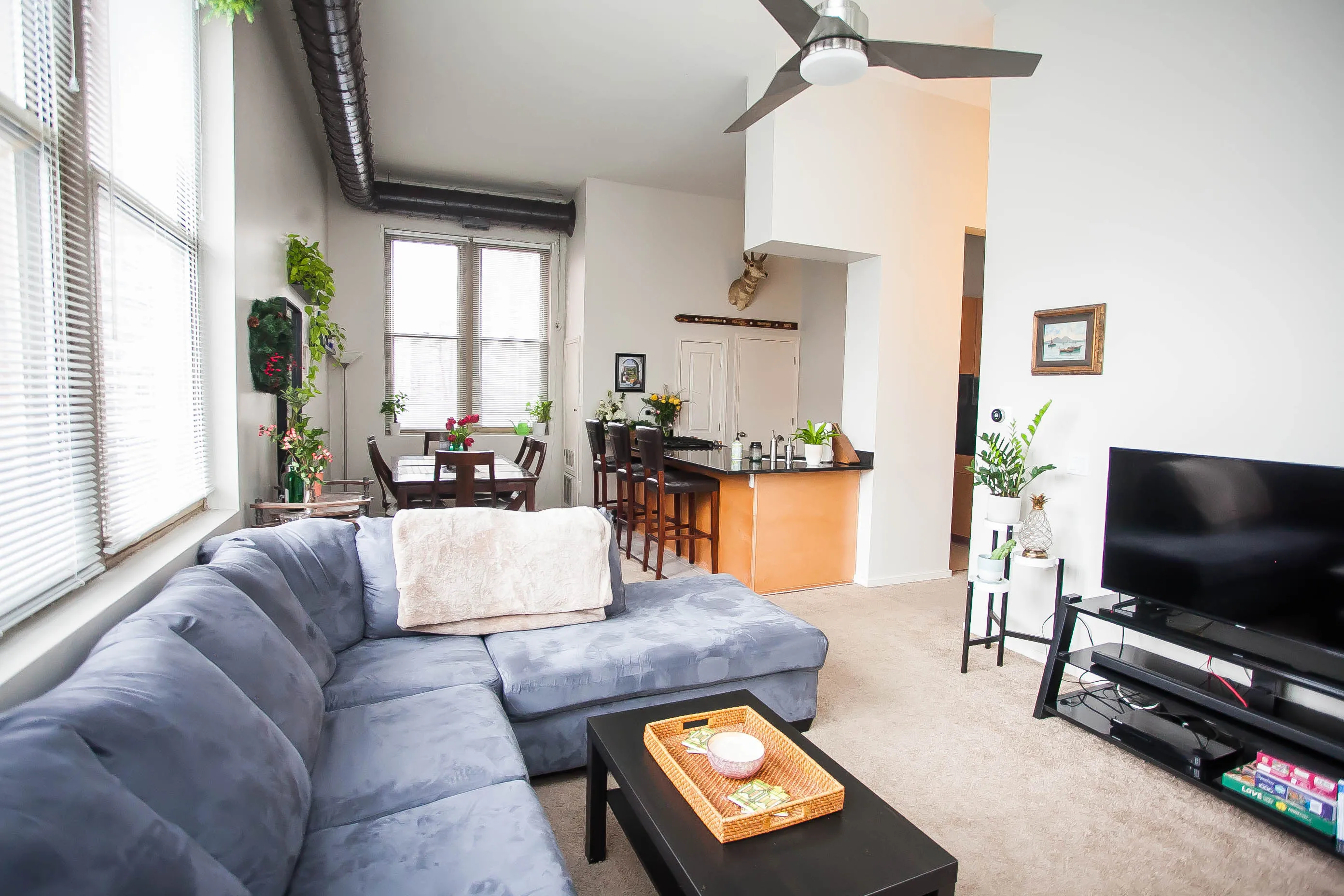 701 W Buckingham Pl   60657 60657-Buckingham Pews-unit#206-Chicago-IL