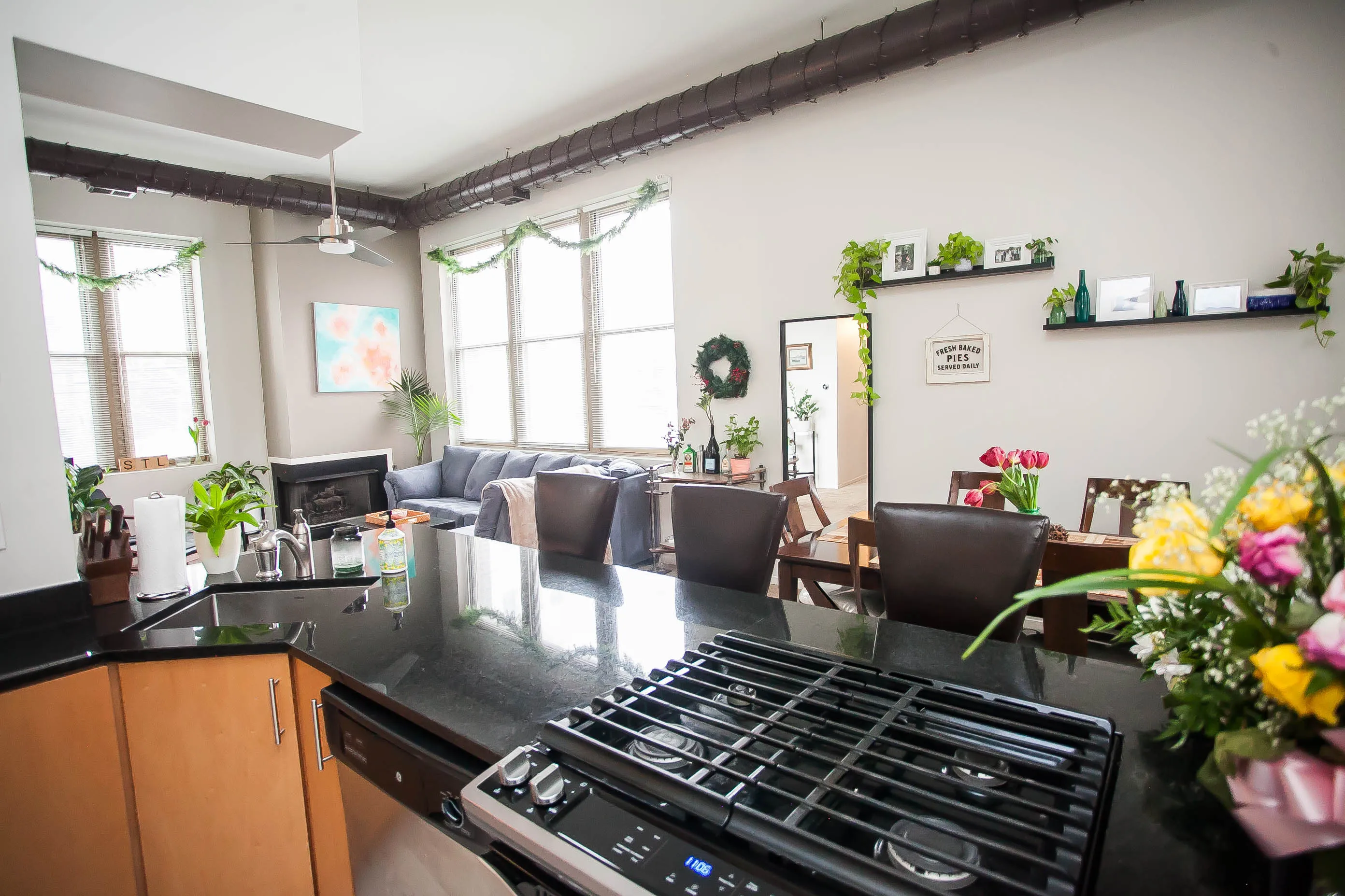 701 W Buckingham Pl   60657 60657-Buckingham Pews-unit#206-Chicago-IL