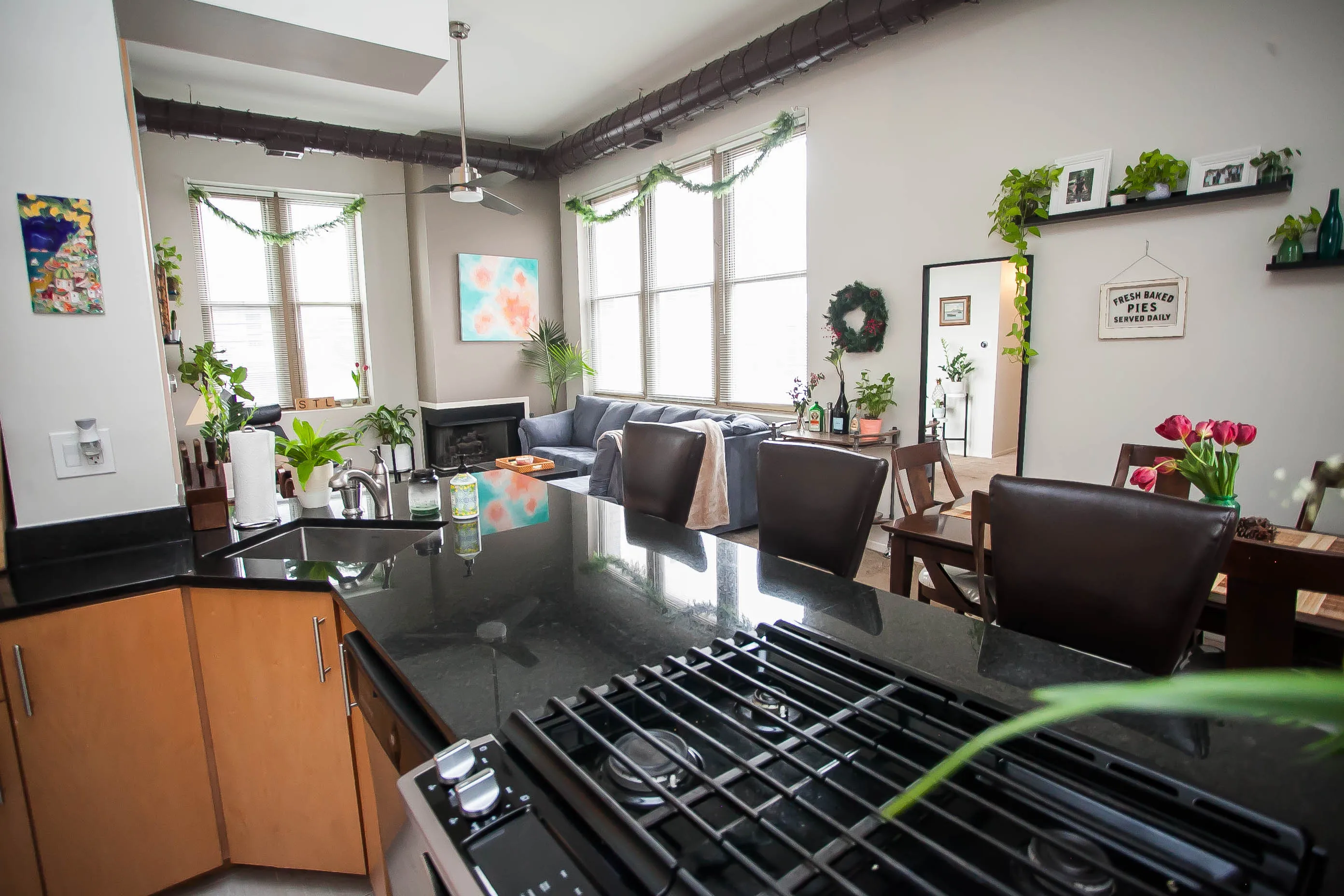 701 W Buckingham Pl   60657 60657-Buckingham Pews-unit#206-Chicago-IL