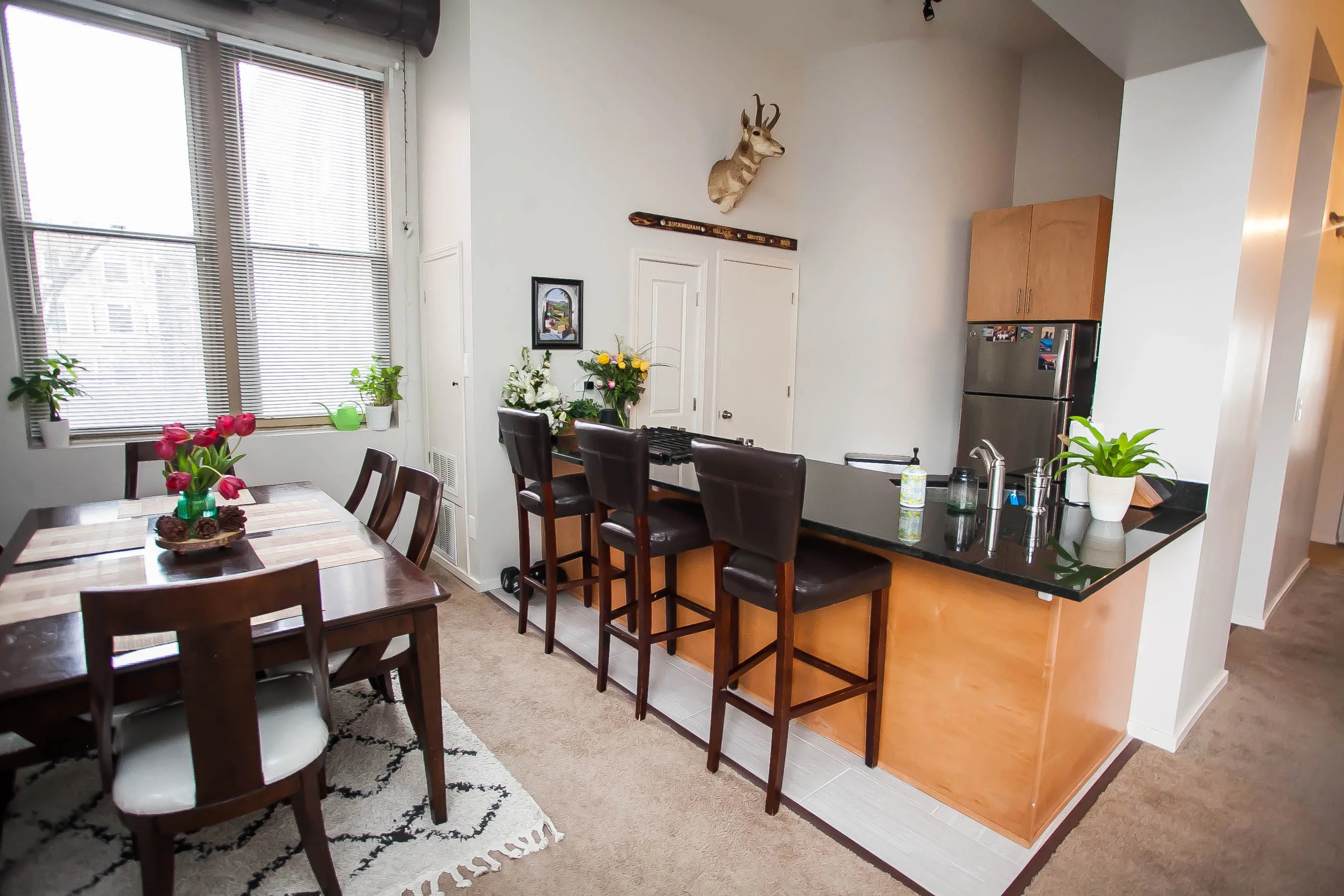 701 W Buckingham Pl   60657 60657-Buckingham Pews-unit#206-Chicago-IL