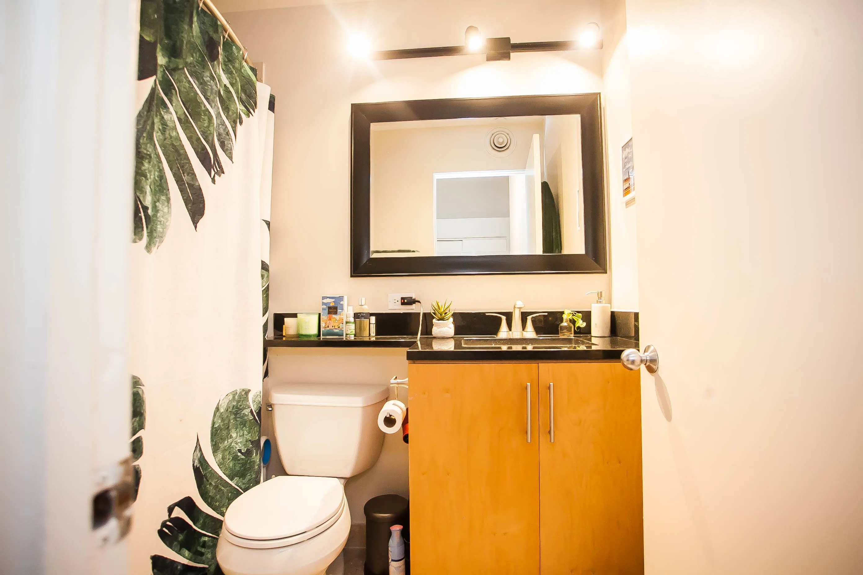 701 W Buckingham Pl   60657 60657-Buckingham Pews-unit#206-Chicago-IL