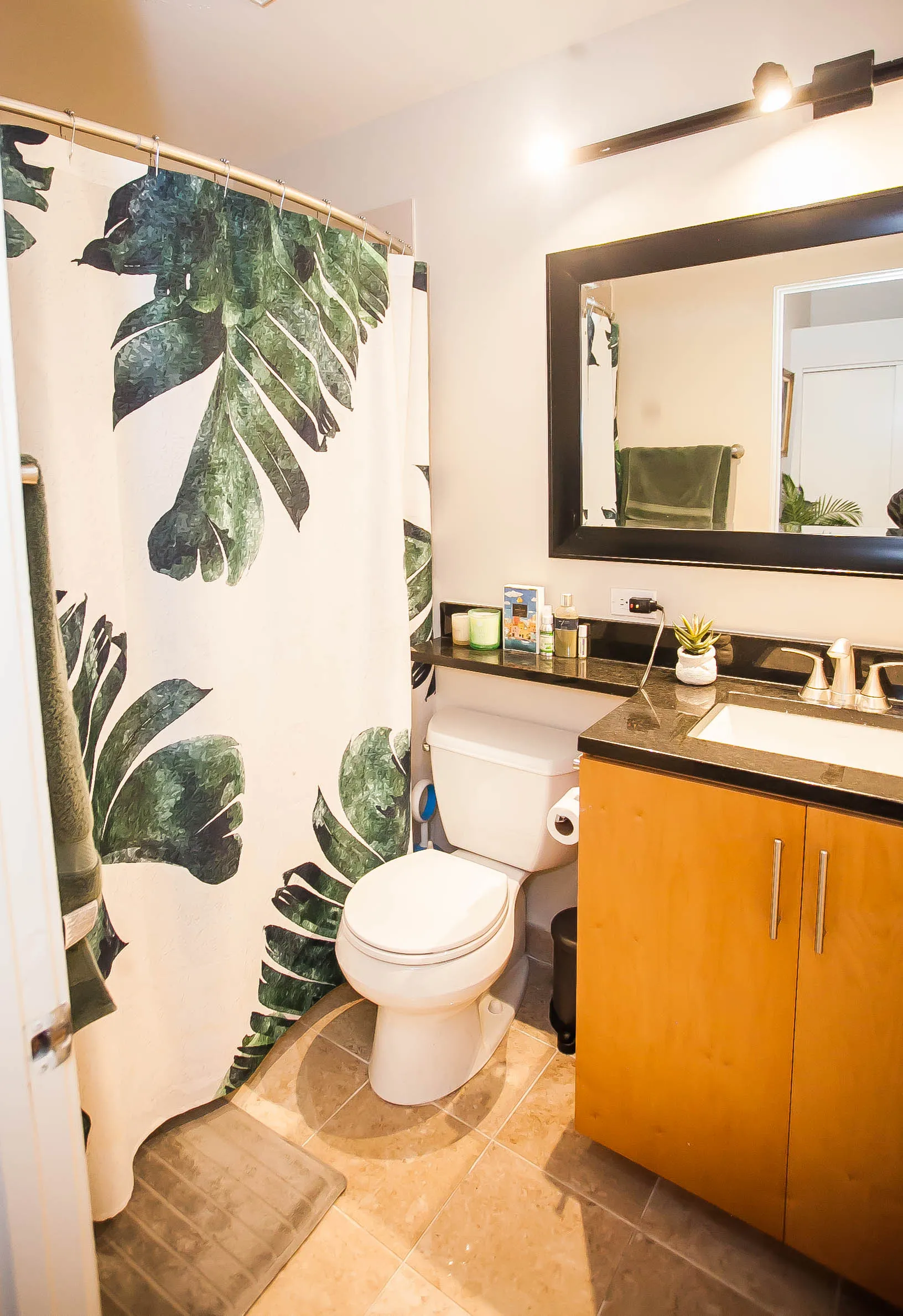 701 W Buckingham Pl   60657 60657-Buckingham Pews-unit#206-Chicago-IL