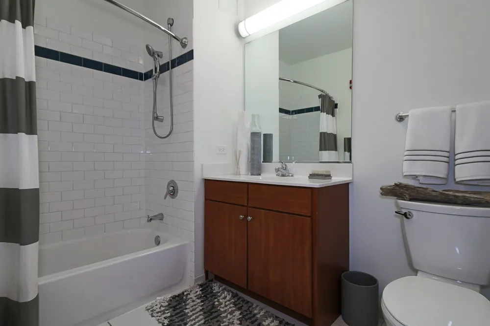 345 E Wacker Dr   60601 60601-unit#1106-Chicago-IL