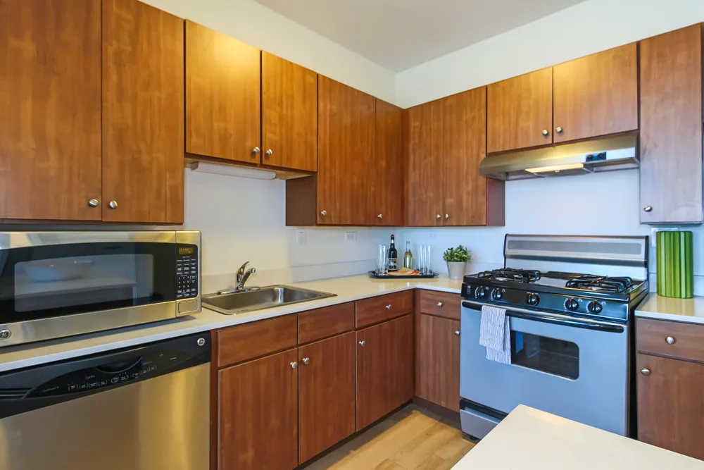 345 E Wacker Dr   60601 60601-unit#1106-Chicago-IL