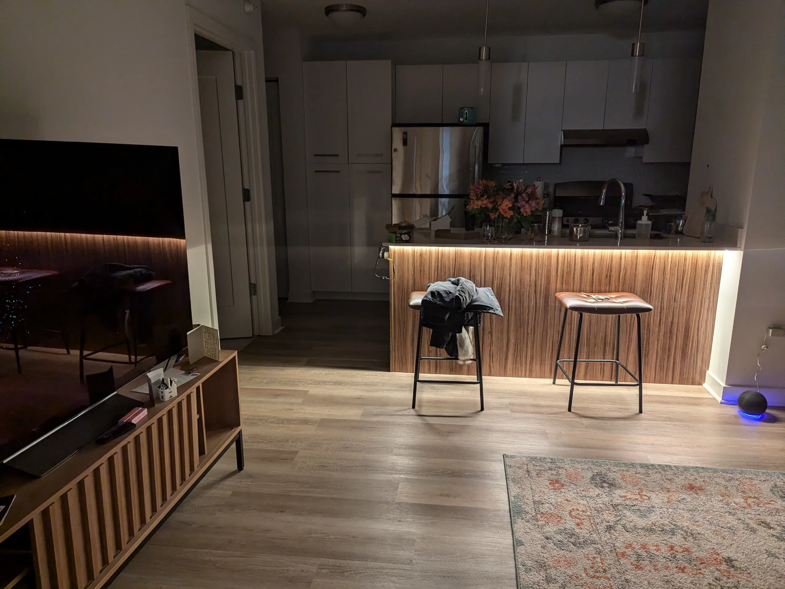  W Wolf Point Plaza   60654 60654-unit#504-Chicago-IL