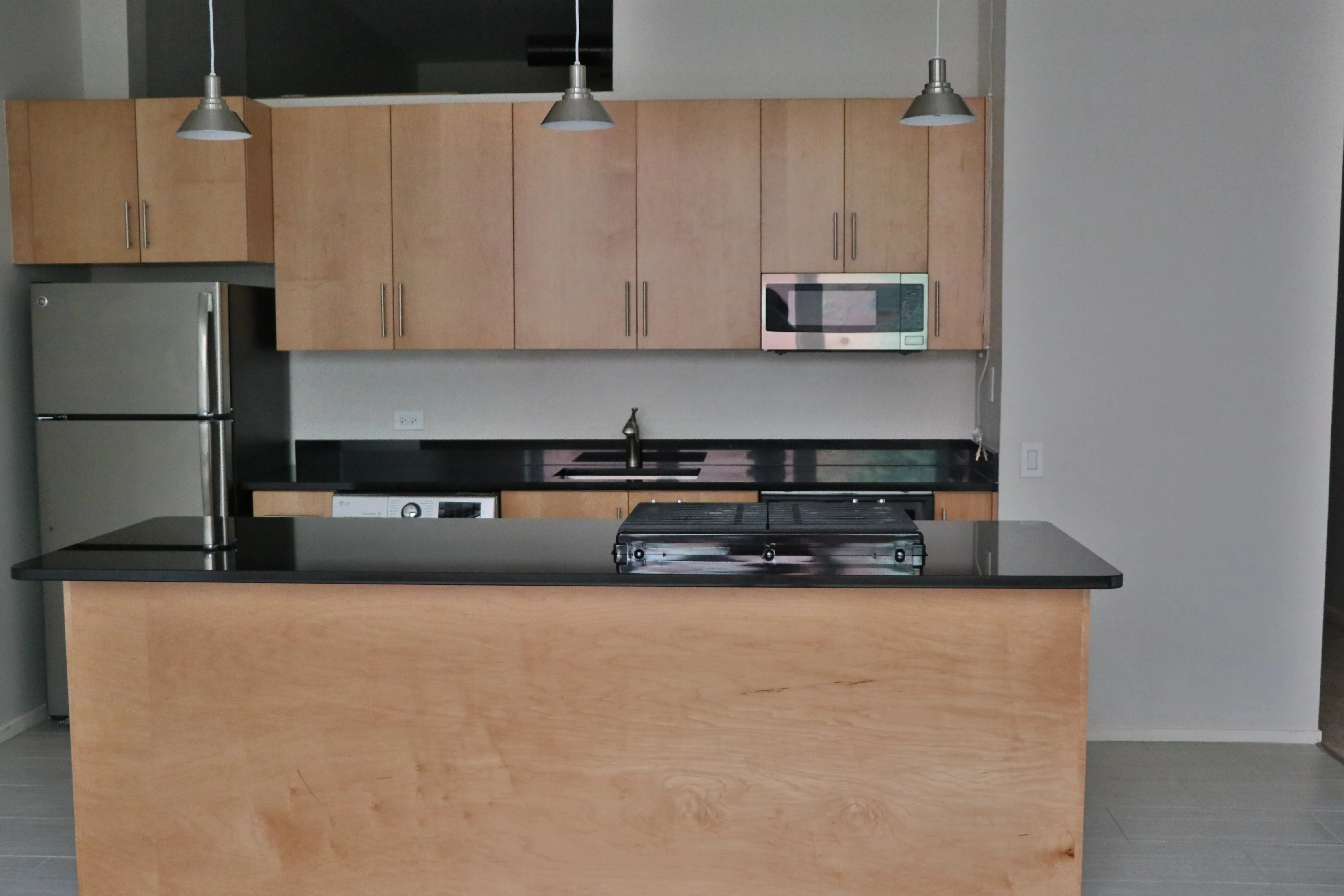 3159 N Seminary Ave 60657 60657-Seminary Lofts-unit#207-Chicago-IL