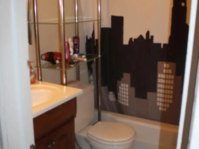 3625 N Wilton Ave   60613 60613-Chicago-IL